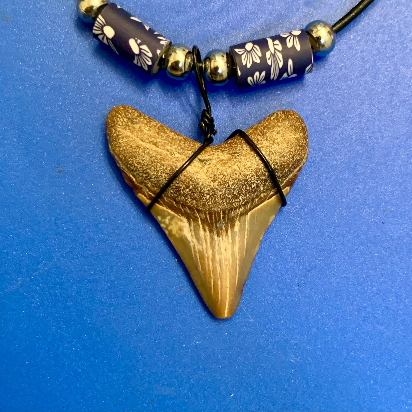Real shark tooth necklace made from a fossil megalodon shark tooth pendant wrapped with black wire, hung on a black cotton cord with colorful beads