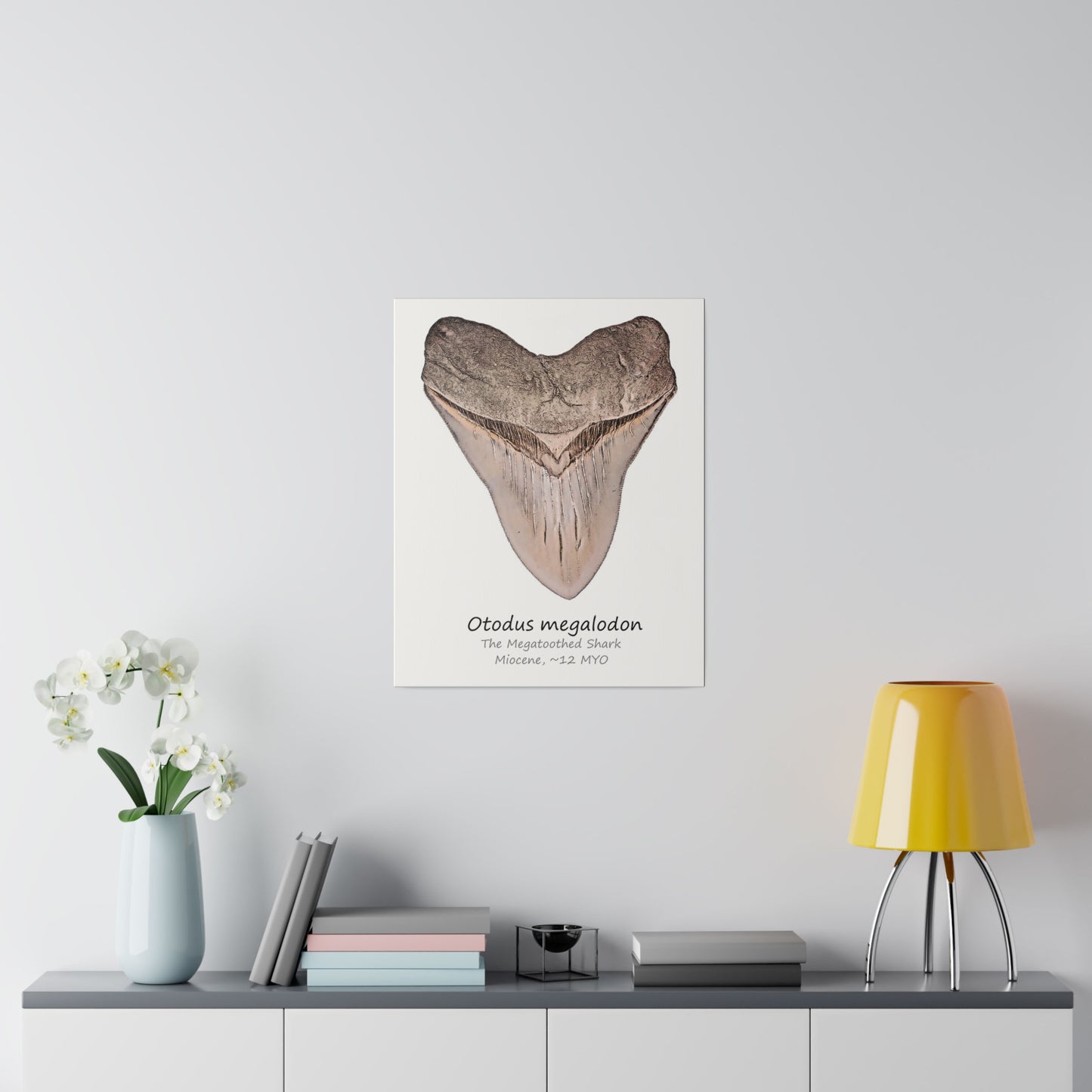 Otodus megalodon Canvas Print Wall Art Décor