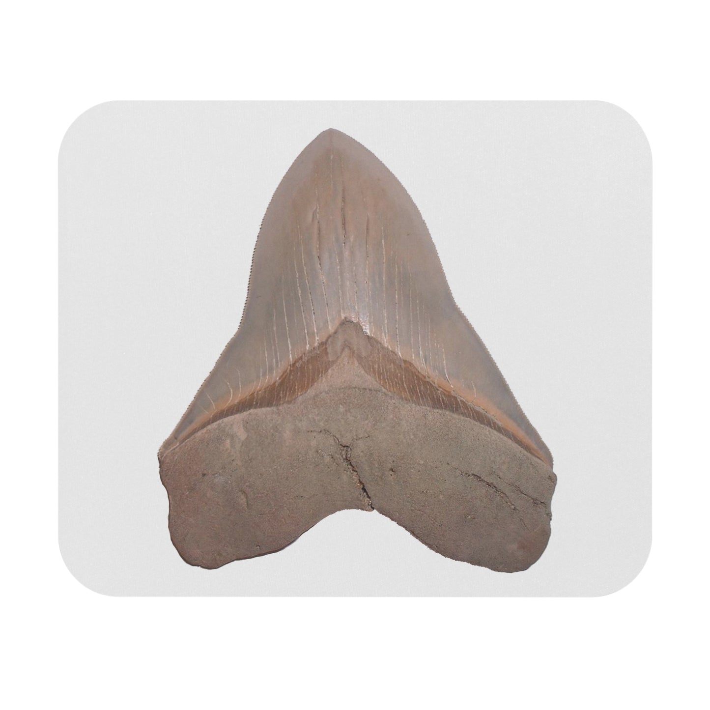 Fossil Shark Tooth Themed Mouse Pad - Otodus megalodon