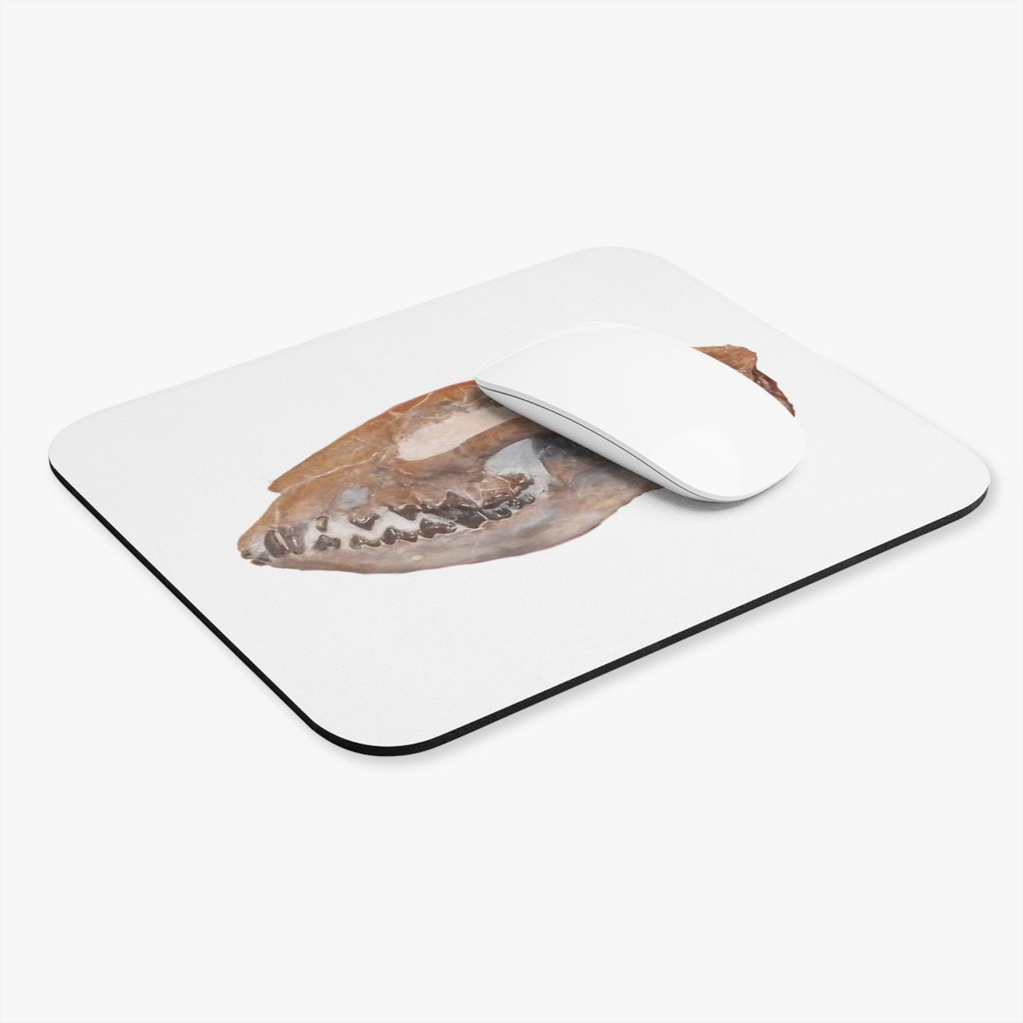Fossil Skull Themed Mouse Pad -Dog - Hesperocyon gregarius