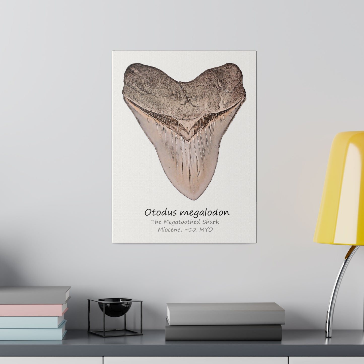 Otodus megalodon Canvas Print Wall Art Décor