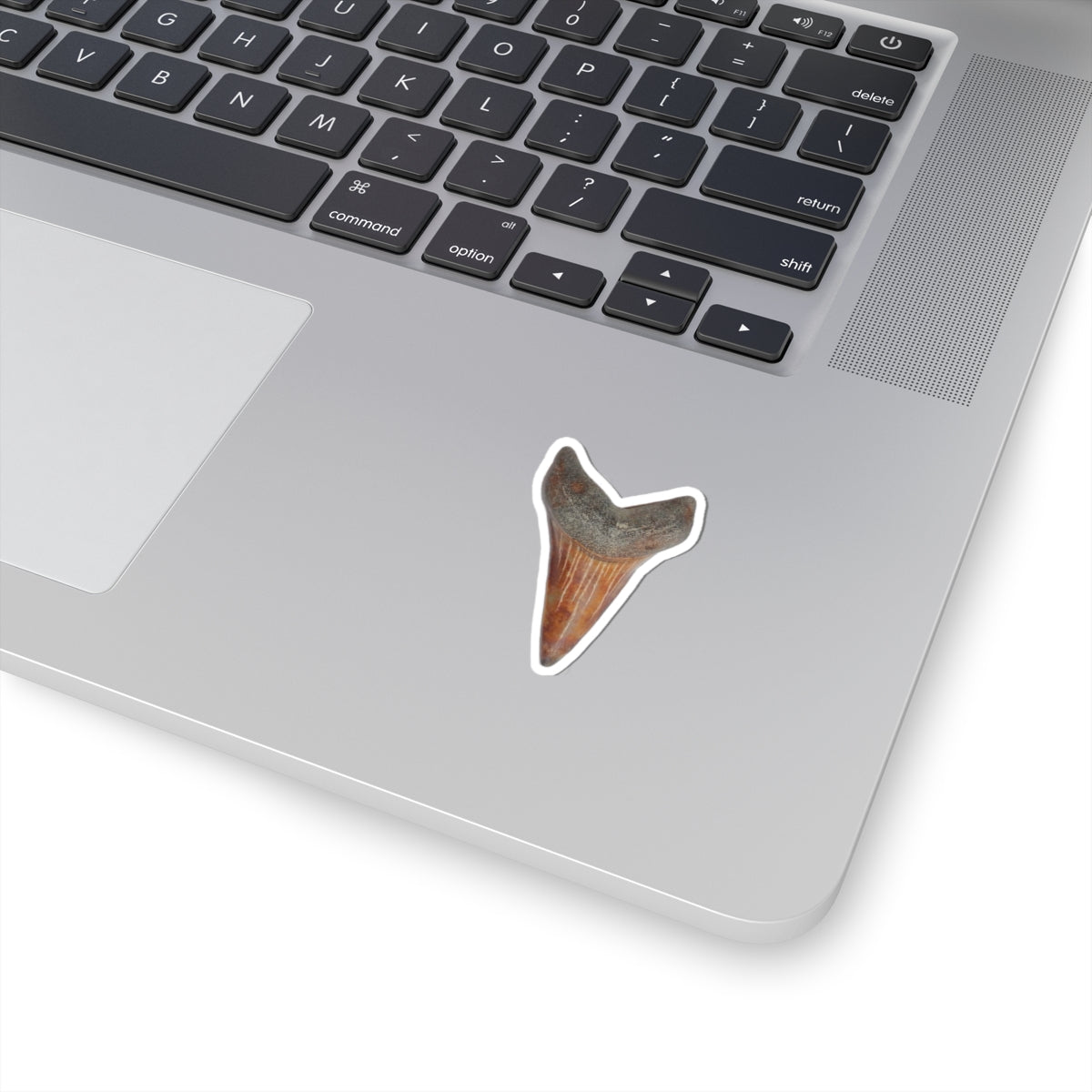 Carcharodon hastalis - Red Fossil Shark Tooth Sticker