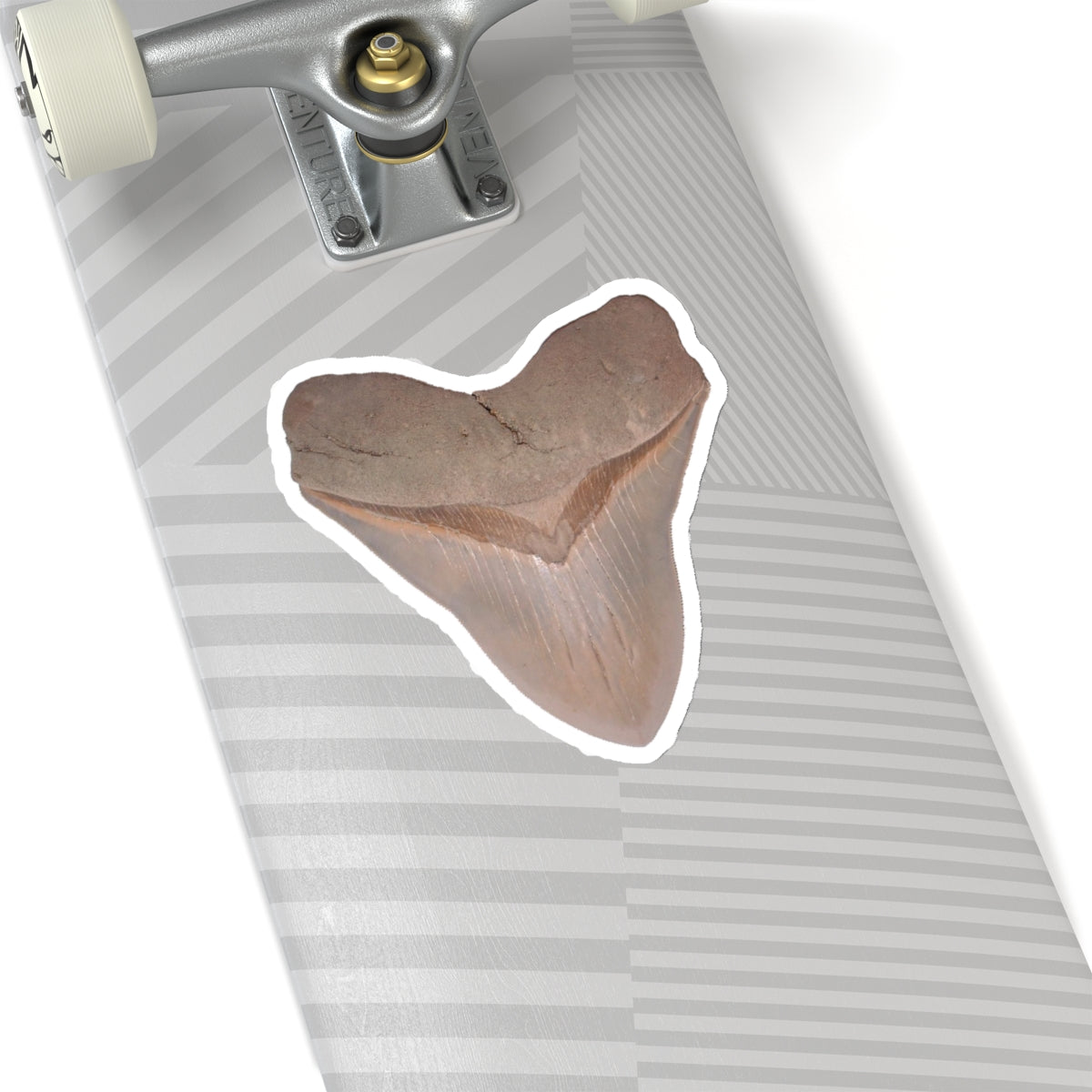 Otodus megalodon Shark Tooth - Sticker