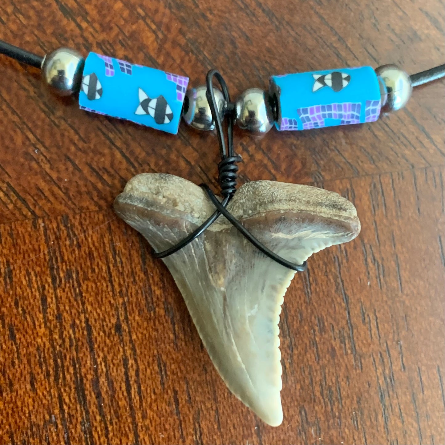 Real fossil Hemipristis serra, snaggle shark tooth necklace on black cord, shark tooth pendant