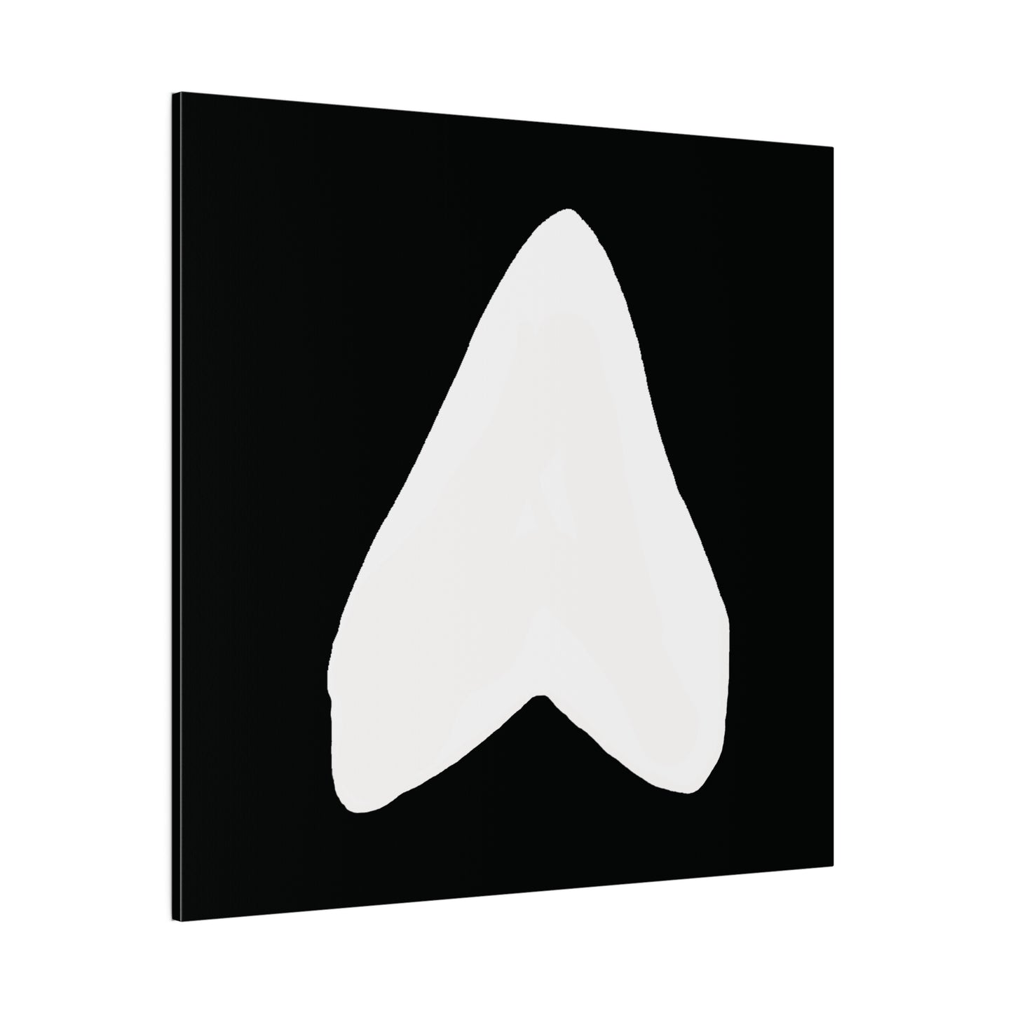 Black and White Otodus megalodon Canvas Print Wall Art Décor