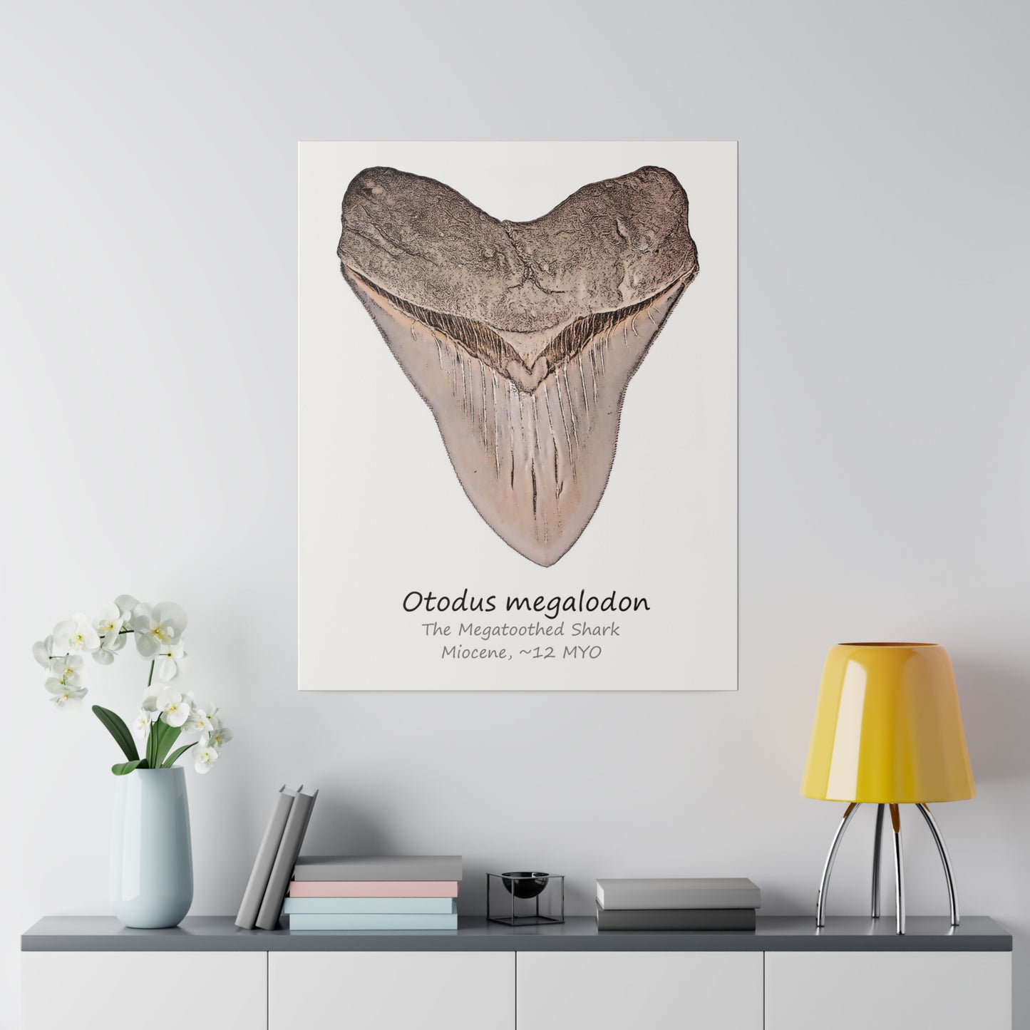 Otodus megalodon Canvas Print Wall Art Décor