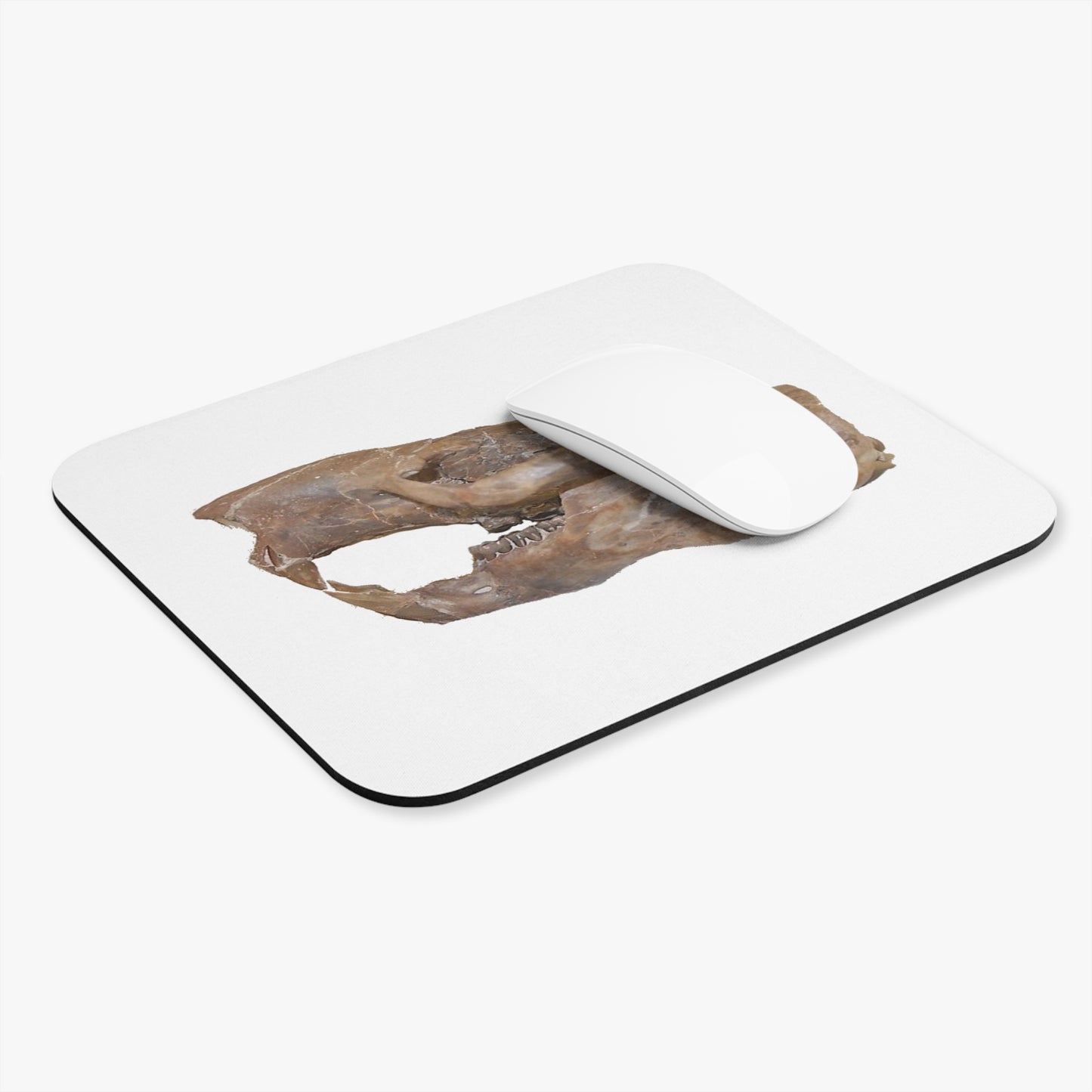 Fossil Skull Themed Mouse Pad - Squirrel - Ischyromys
