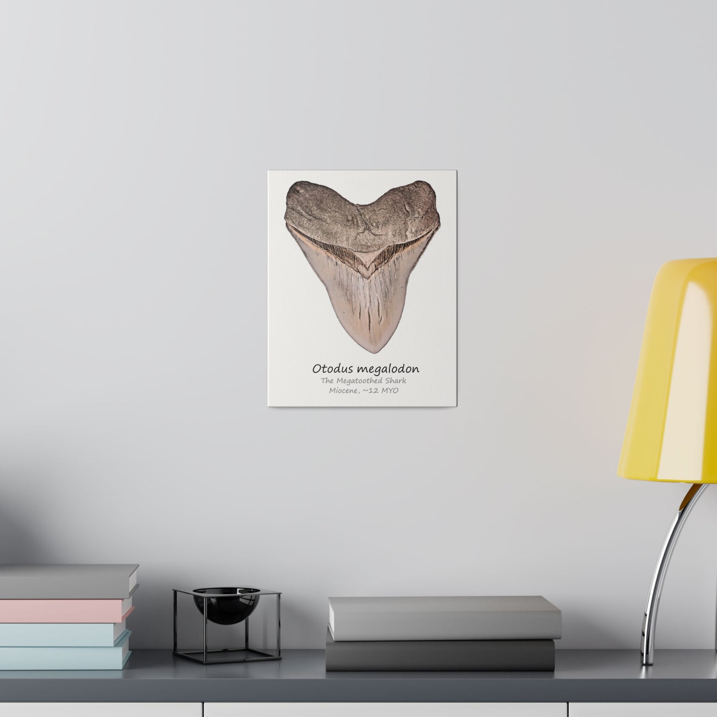 Otodus megalodon Canvas Print Wall Art Décor