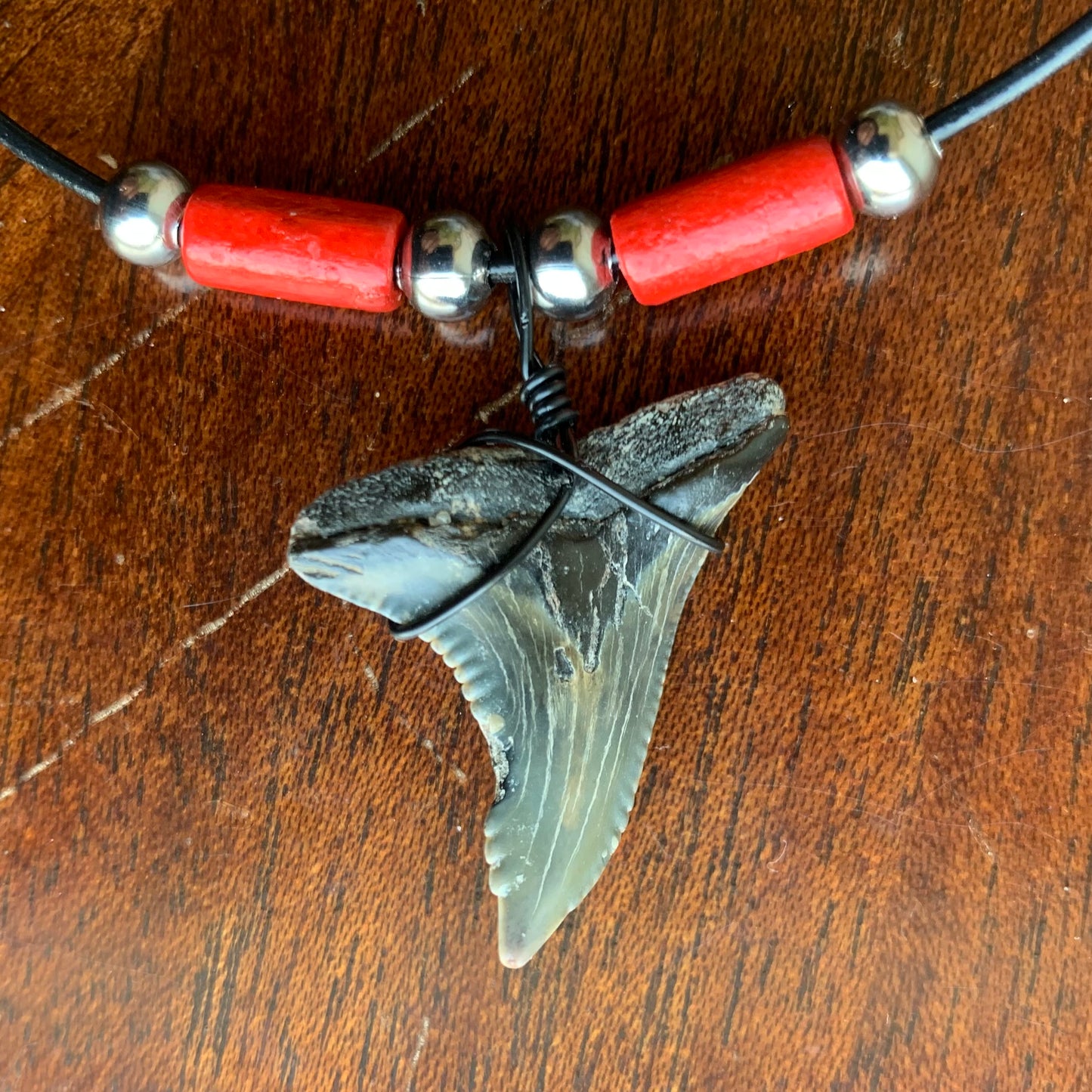 Real fossil Hemipristis serra, snaggle shark tooth necklace on black cord, shark tooth pendant