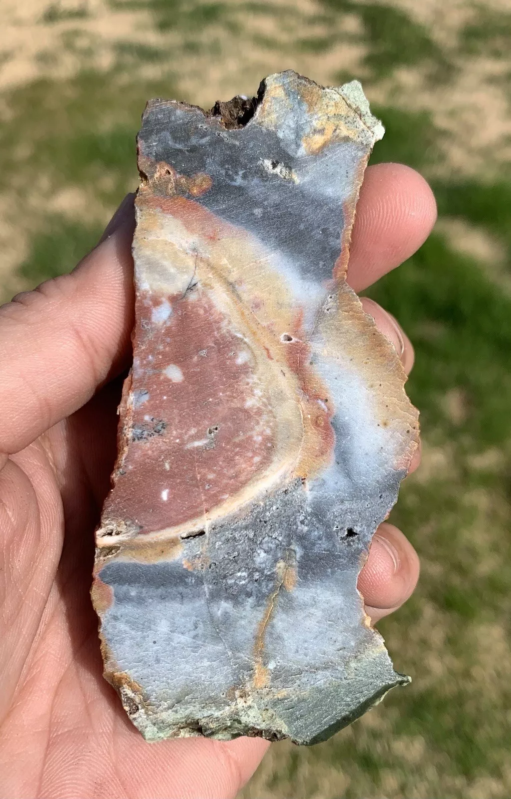 Jasper from Indonesia, Slab, Slice