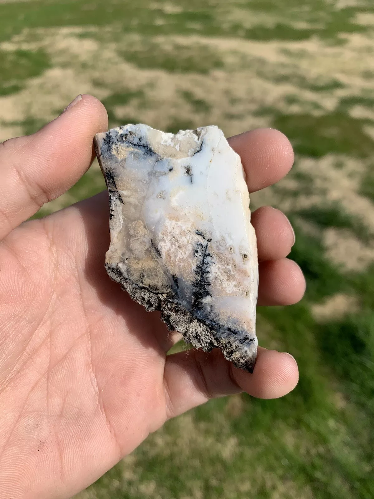 Polished Dendrite Agate from Indonesia, Slab, Slice