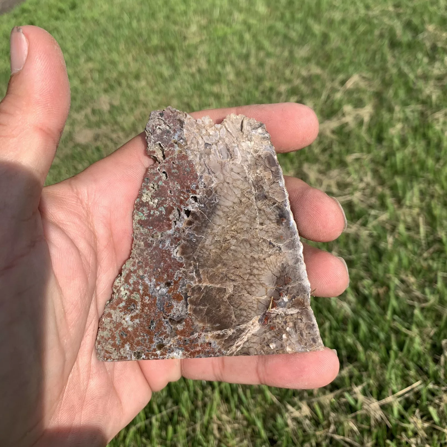 Polished Plume Agate from Indonesia, Slab, Slice