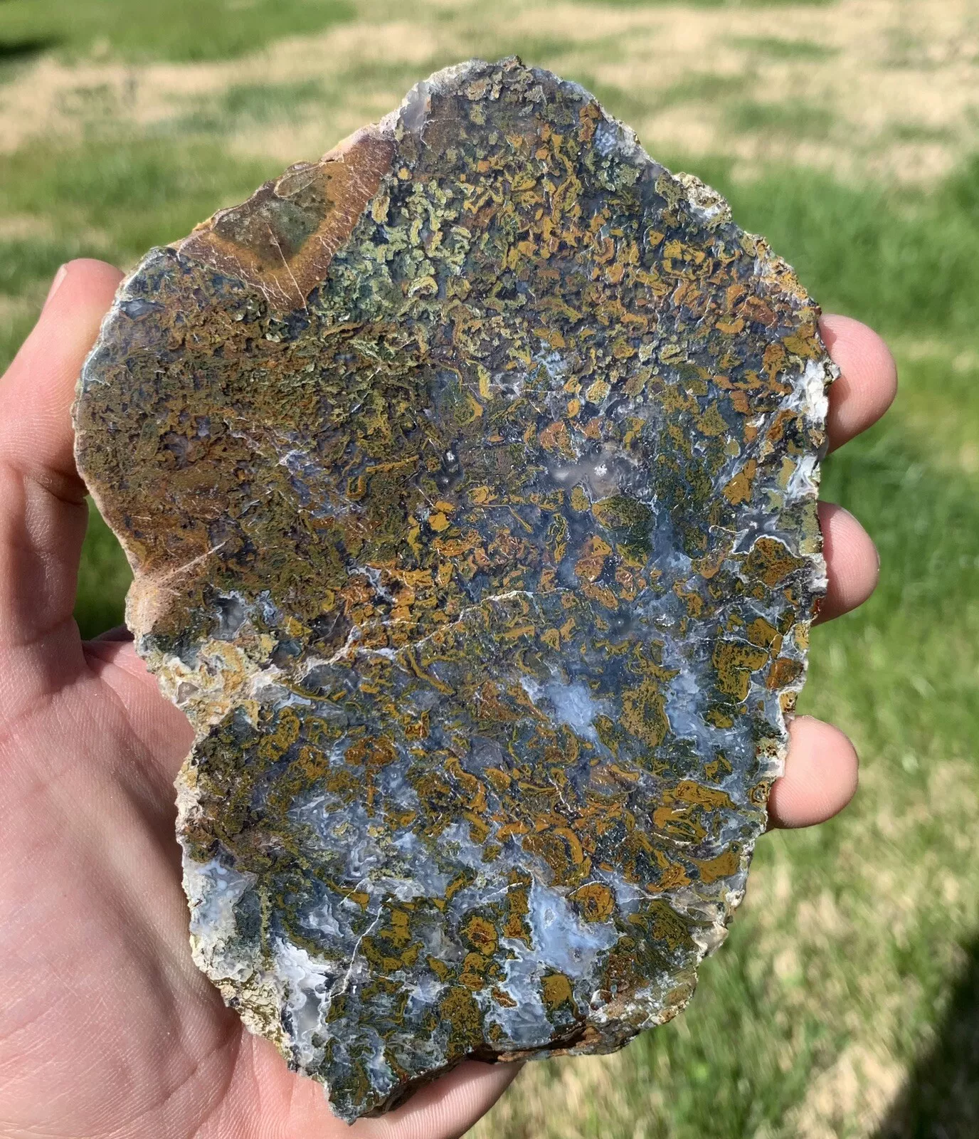 Polished Yellow Green Moss Agate from Indonesia, Slab, Slice