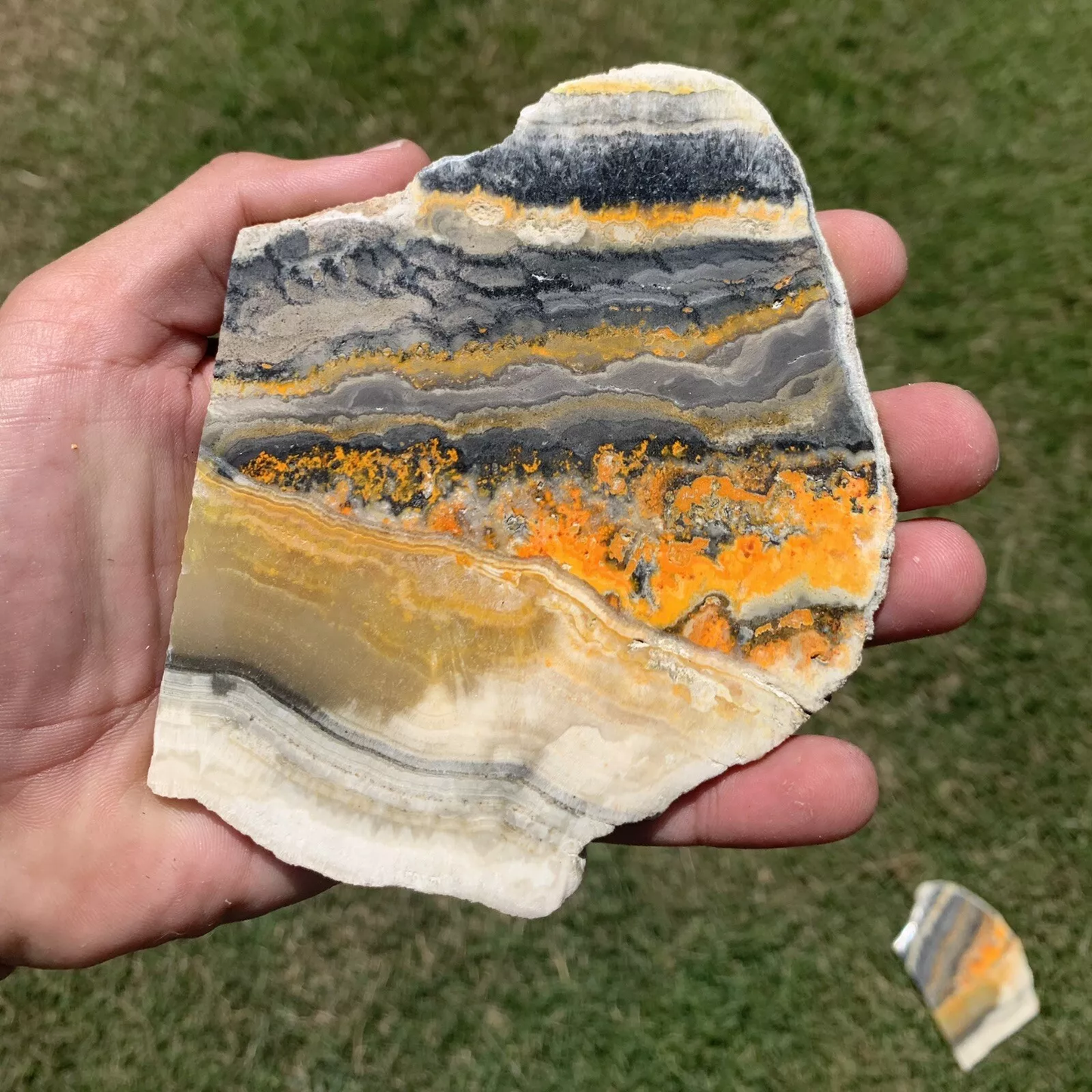 Polished Bumblebee Travertine from Indonesia, Slab, Slice