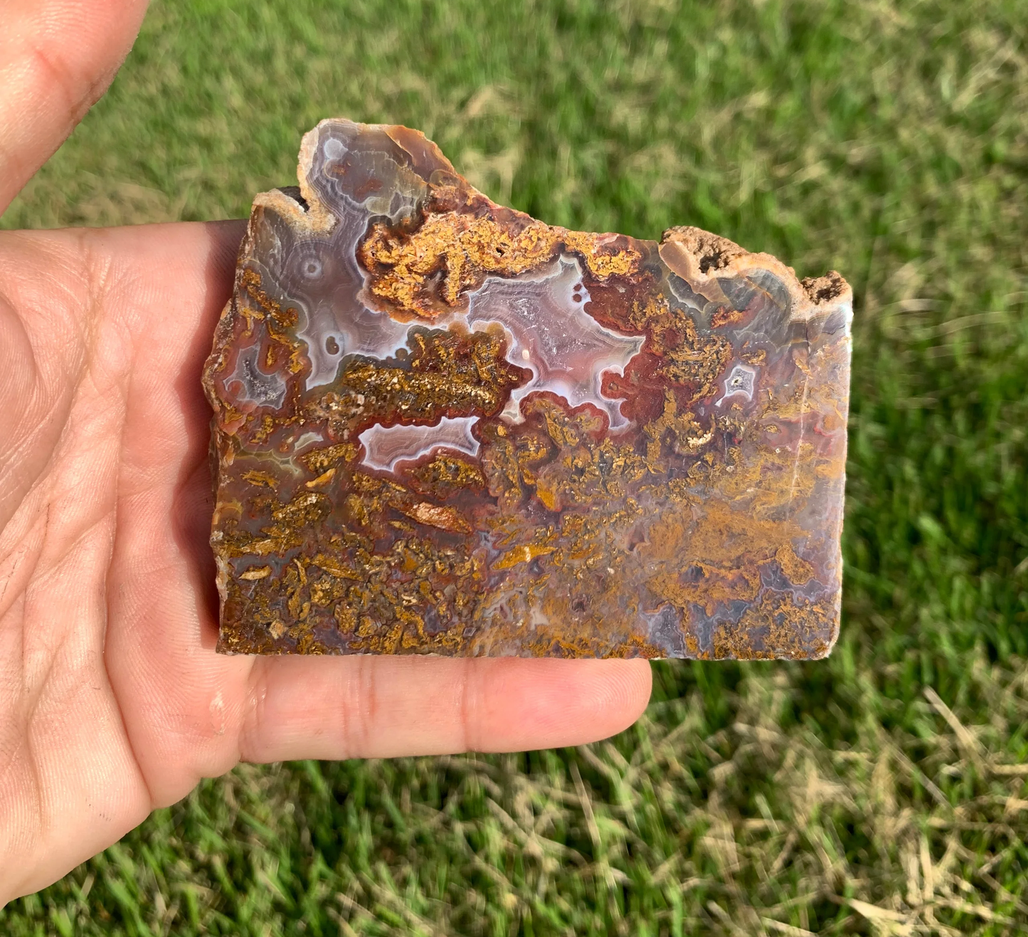 Polished Moss Agate slab from Indonesia