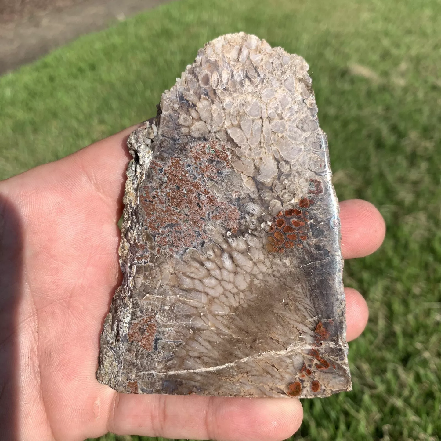Polished Plume Agate from Indonesia, Slab, Slice