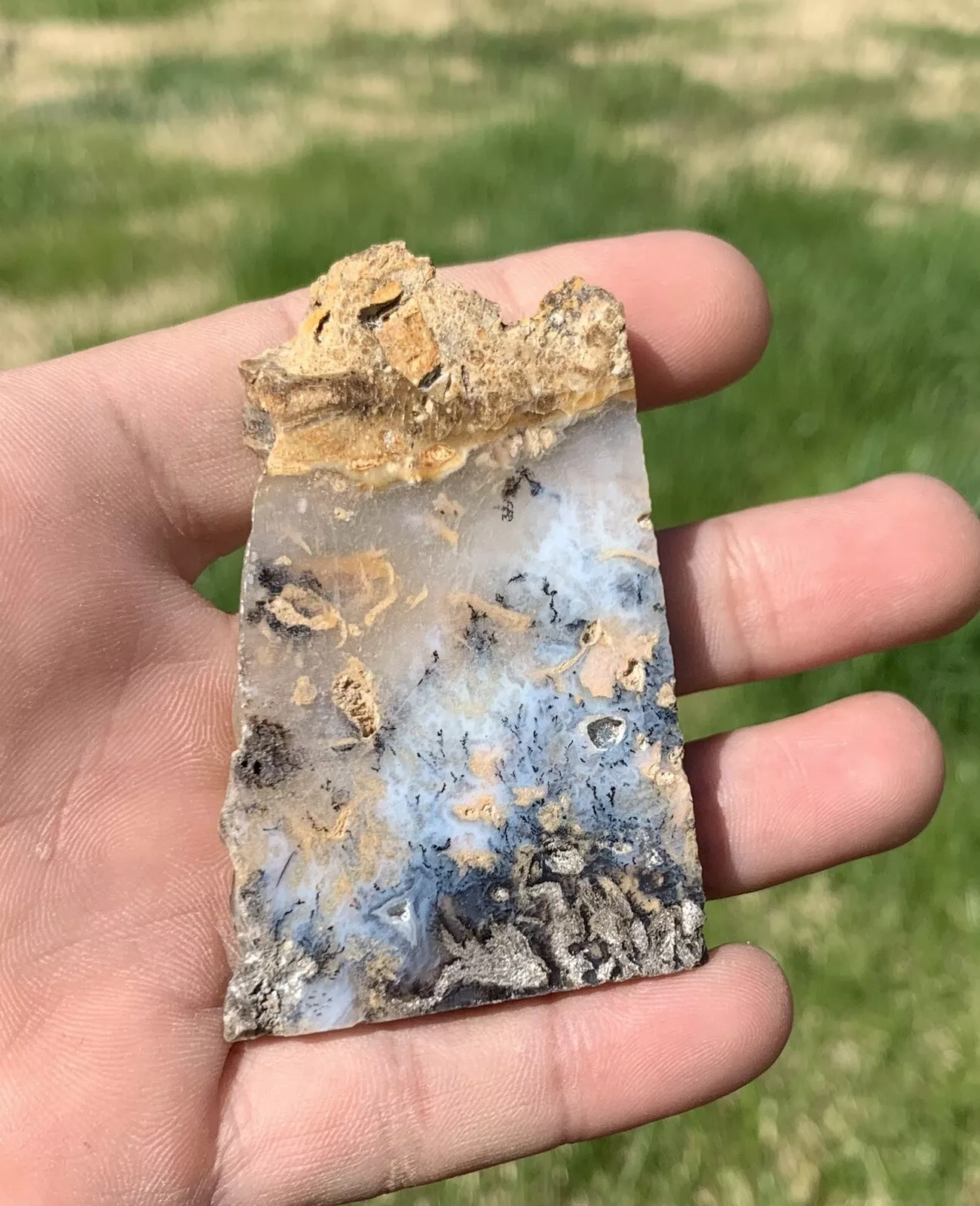 Polished Dendrite Agate from Indonesia, Slab, Slice
