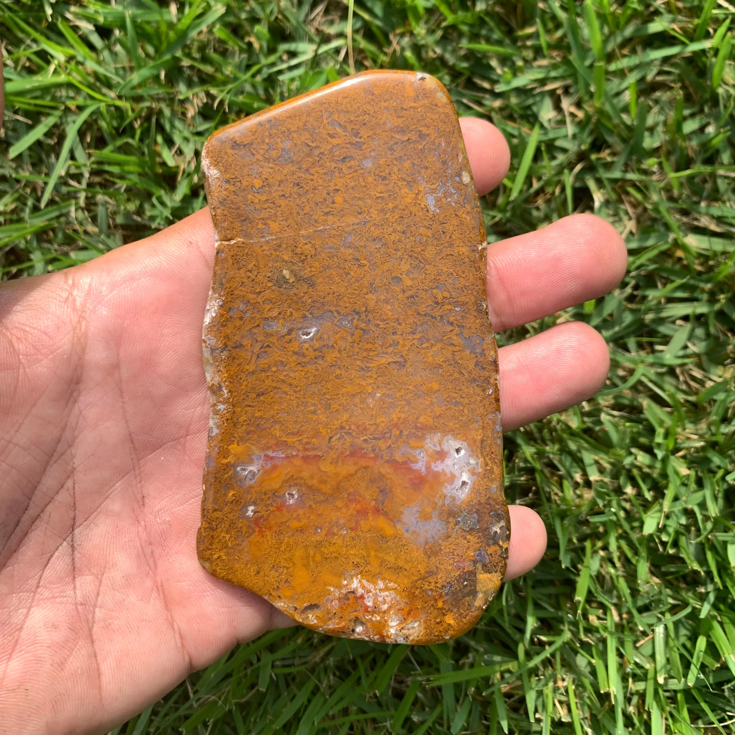 Polished Brown Moss Agate slab from Indonesia