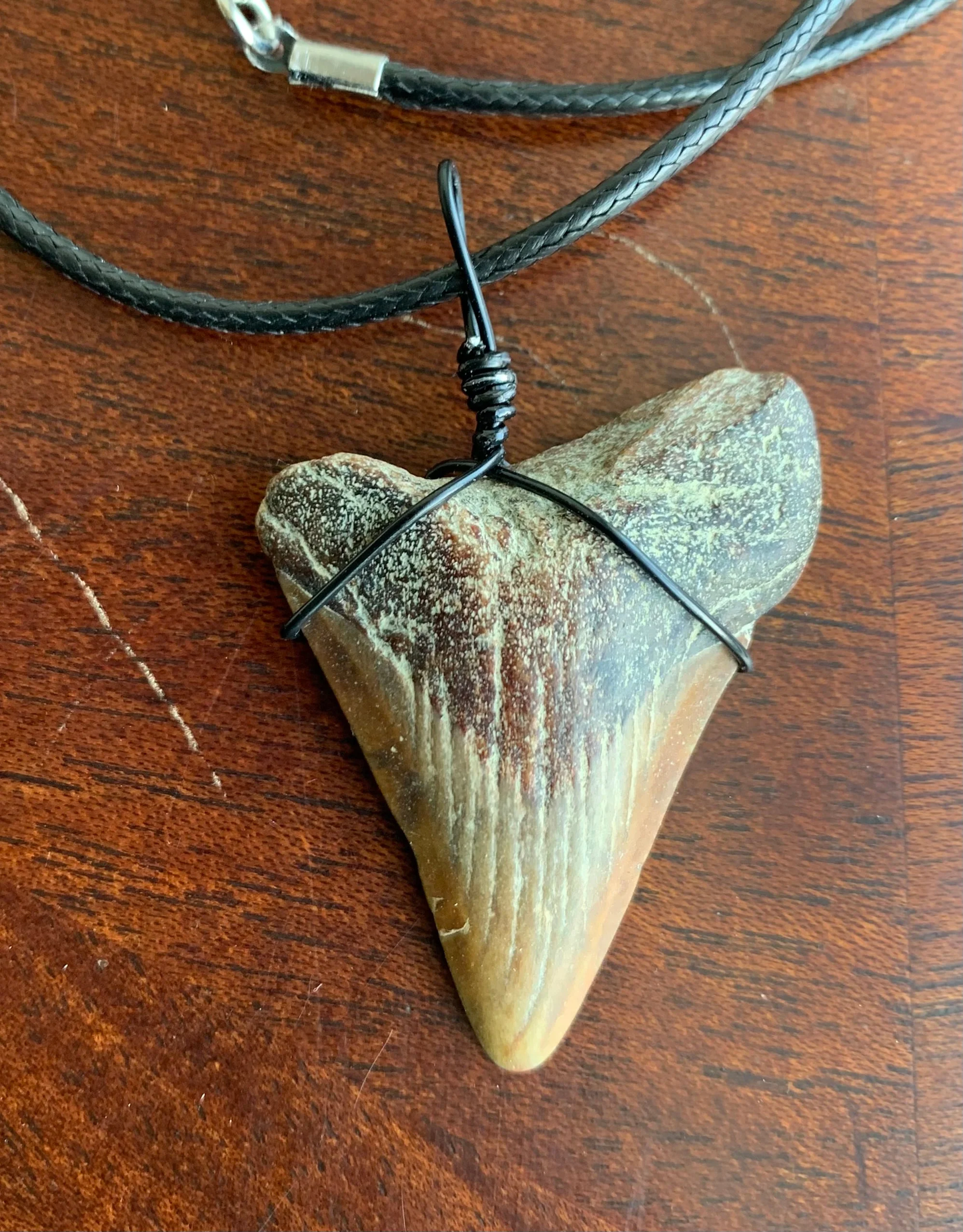 Megalodon shark tooth necklace