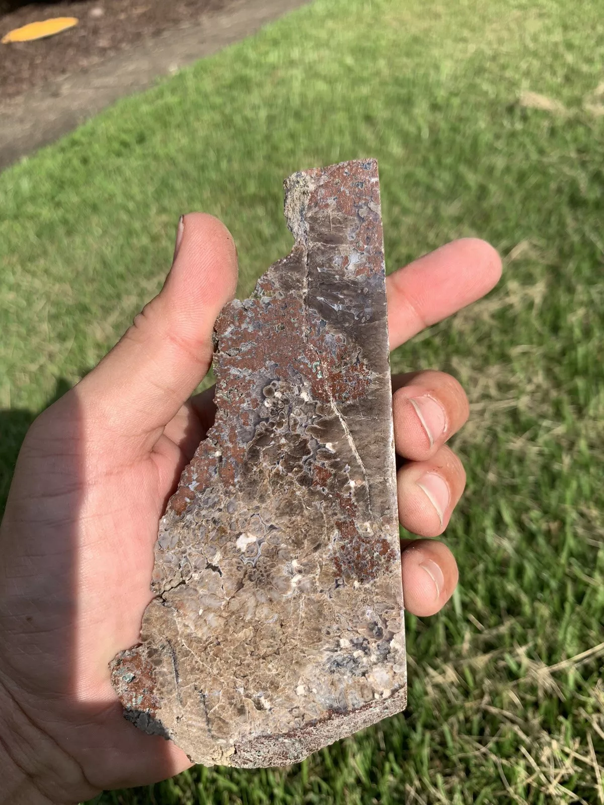 Polished Plume Agate from Indonesia, Slab, Slice