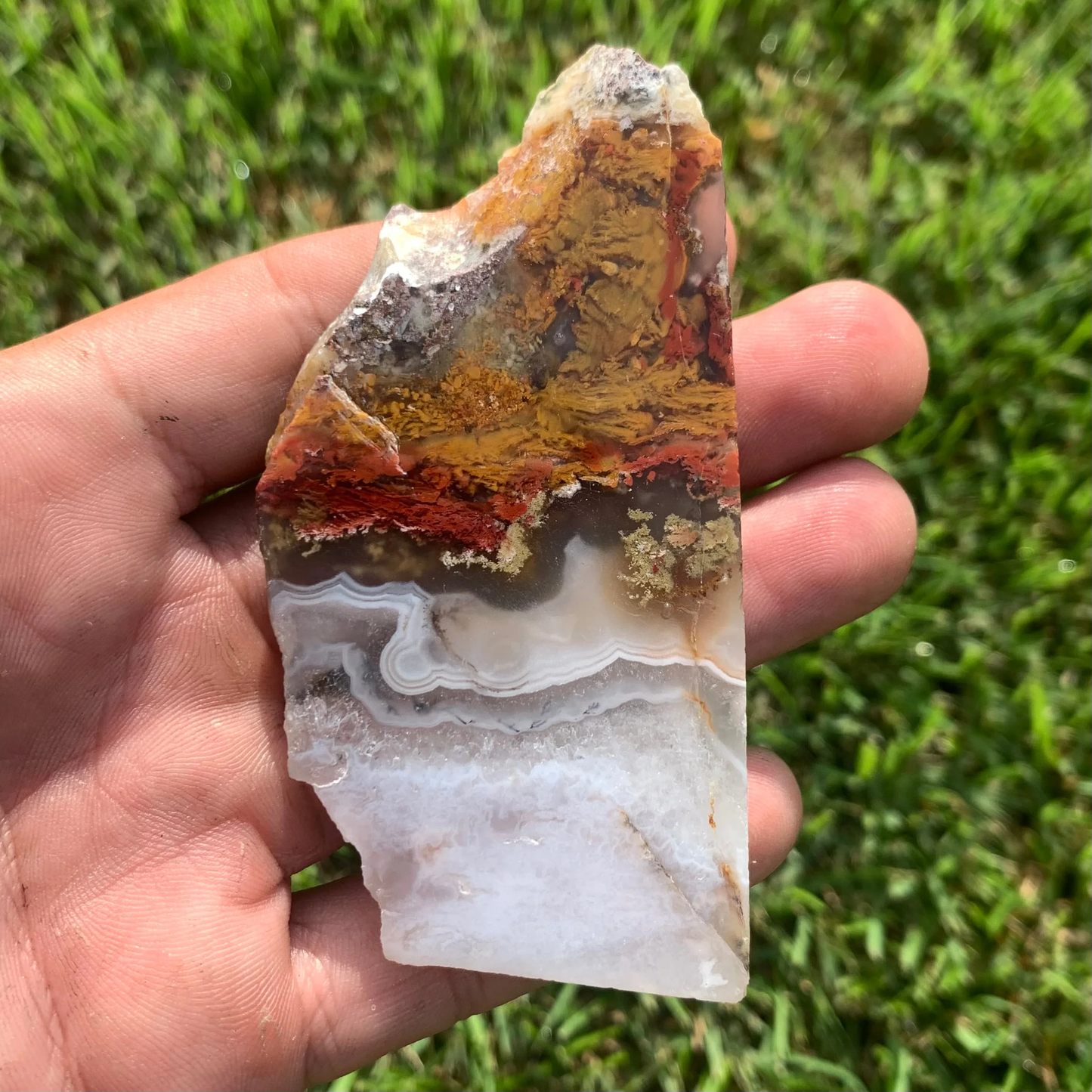 Polished Moss Agate slab from Indonesia