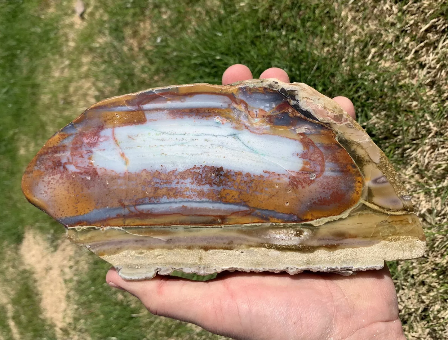Polished Petrified Blue Copper Wood, Indonesia, Slab, Slice