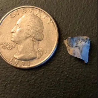 Triceratops Tooth From The Hell Creek Formation Of South Dakota