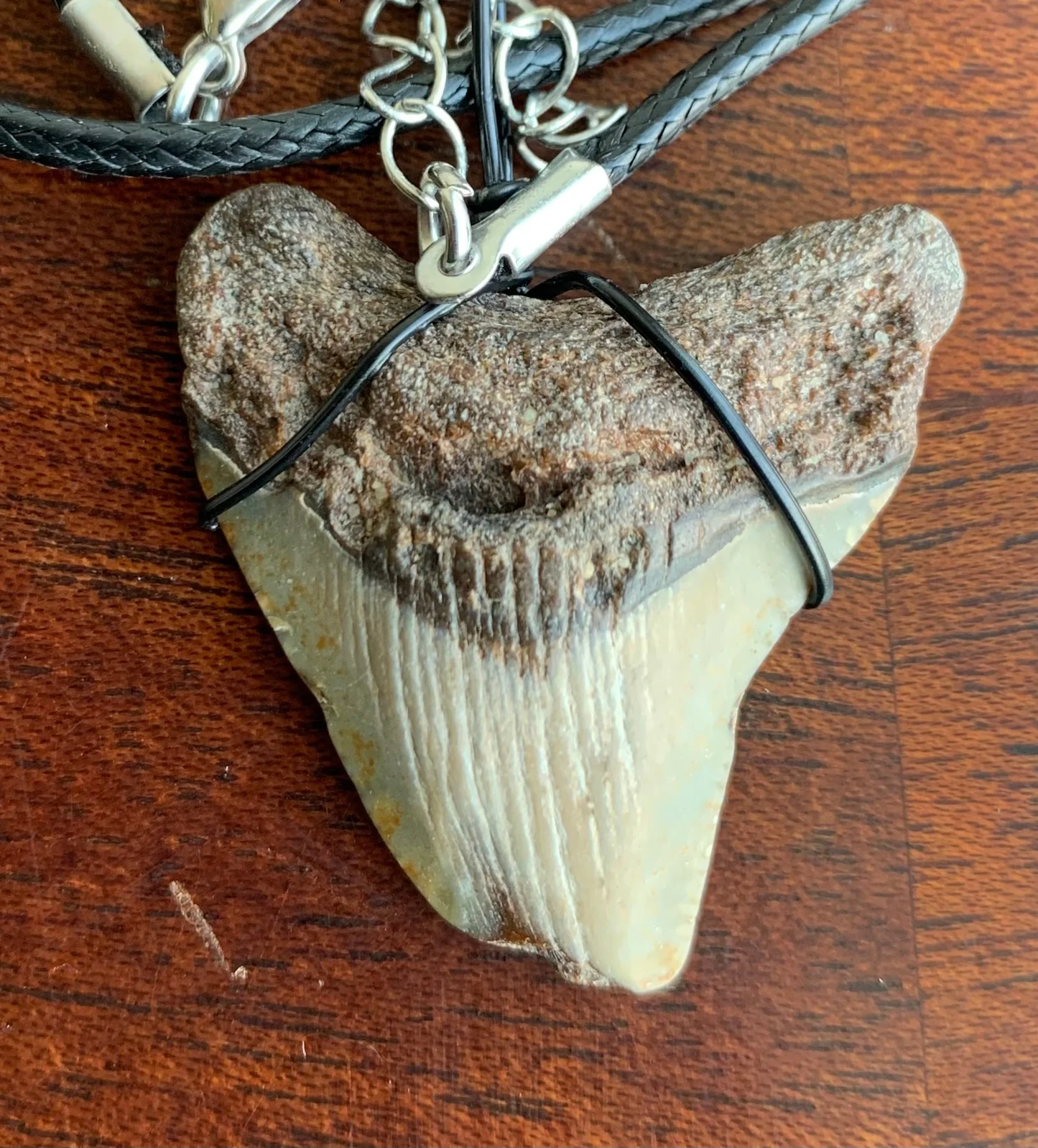 Megalodon shark tooth necklace
