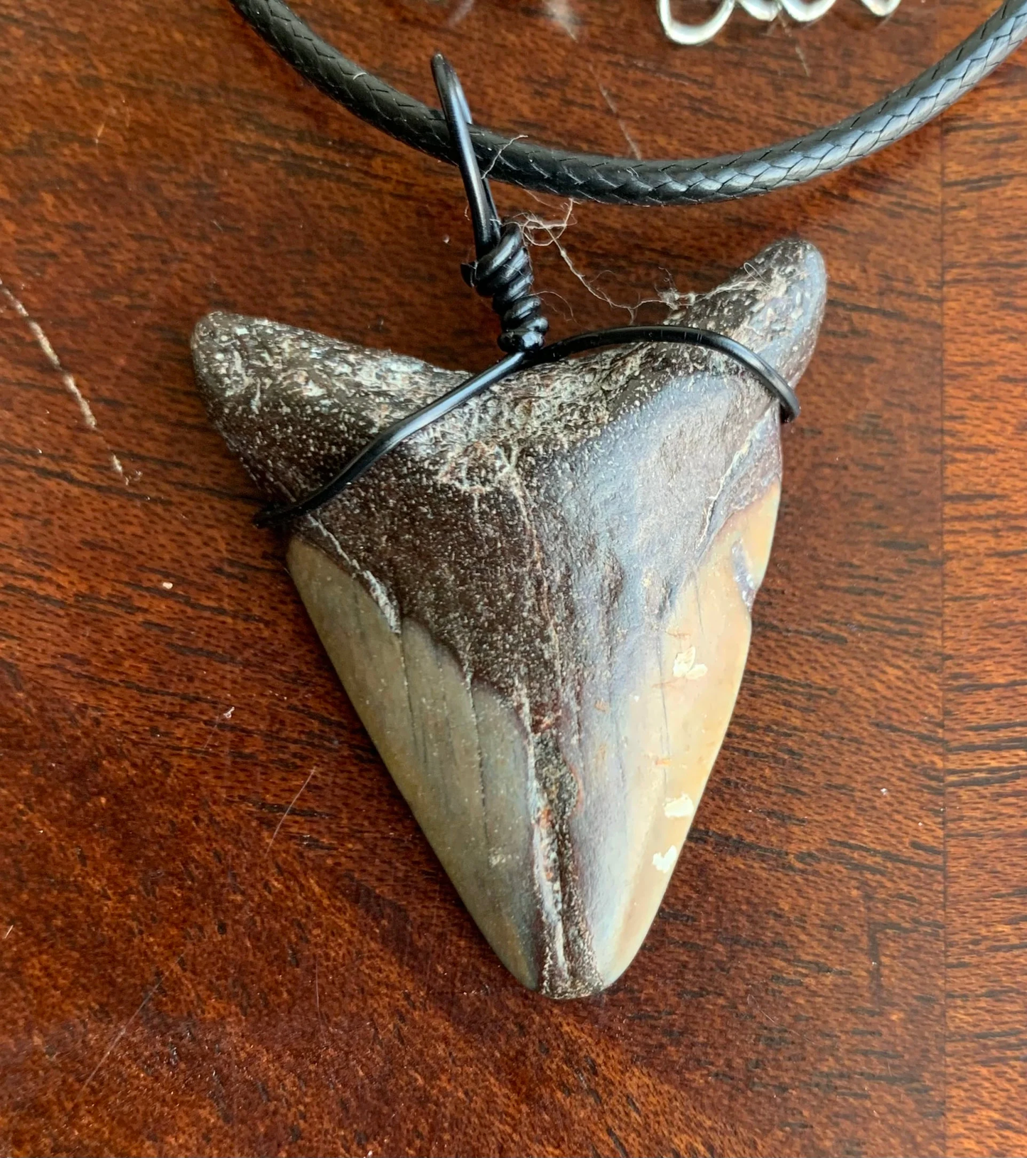 Megalodon shark tooth necklace