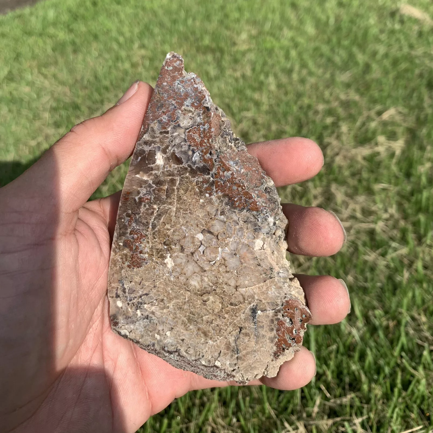 Polished Plume Agate from Indonesia, Slab, Slice