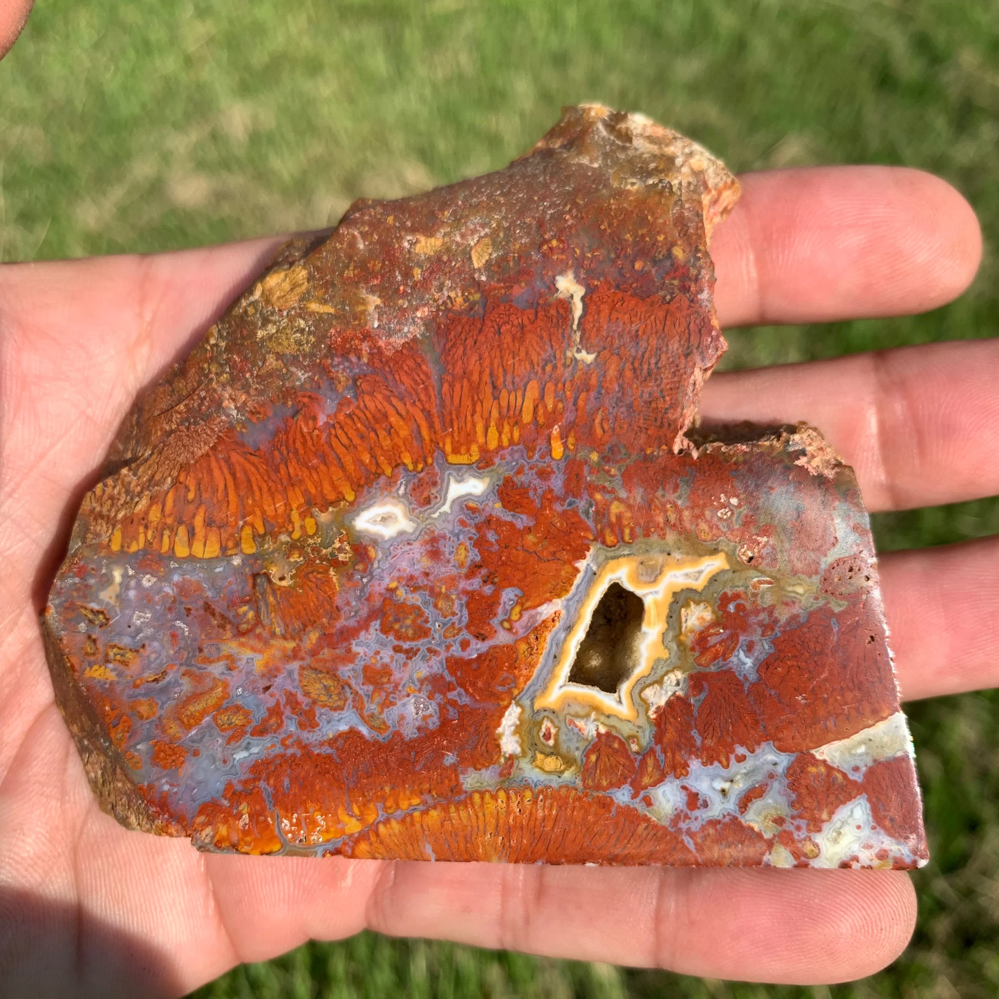 Polished Red Plume Agate slab from Indonesia