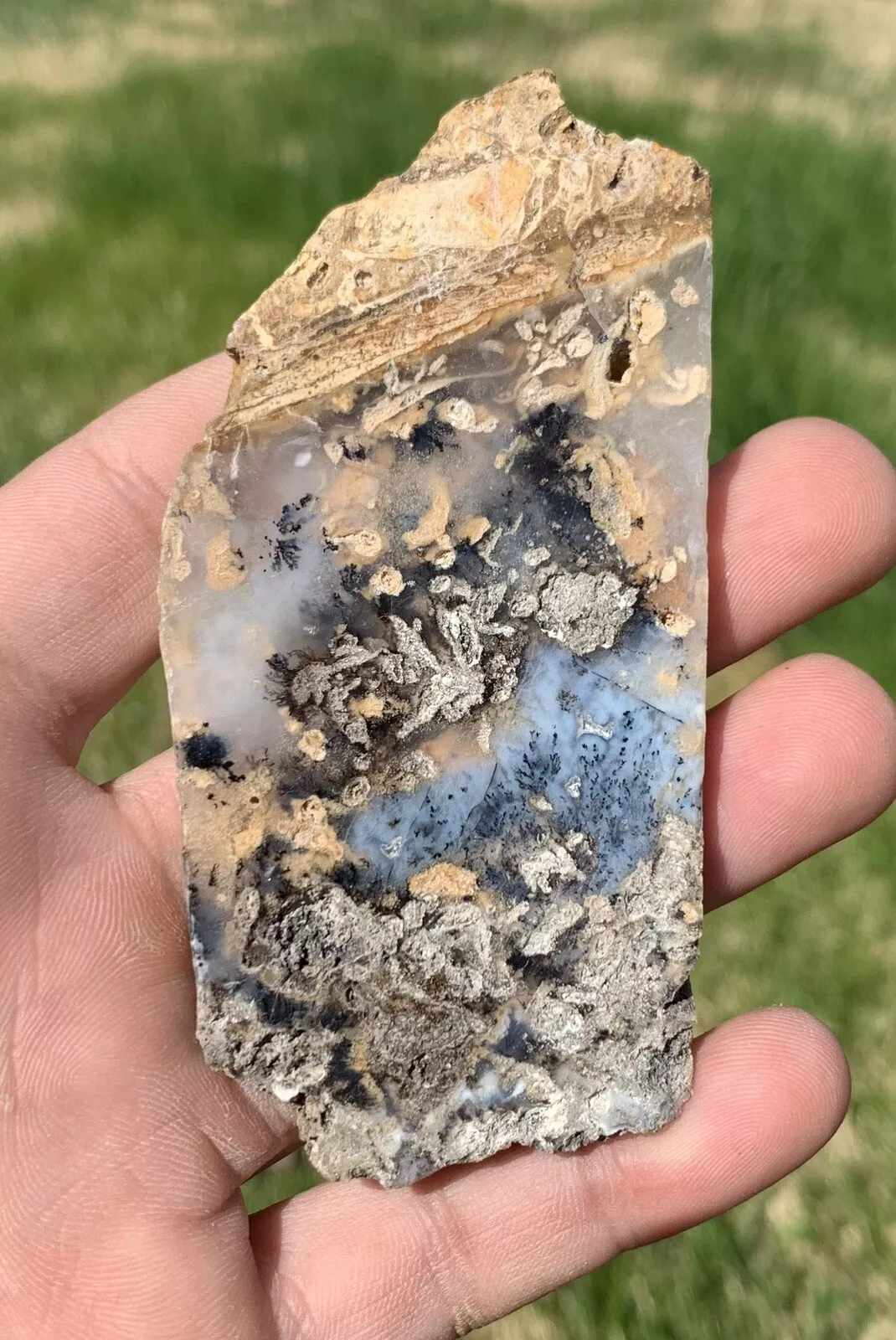 Polished Dendrite Agate from Indonesia, Slab, Slice