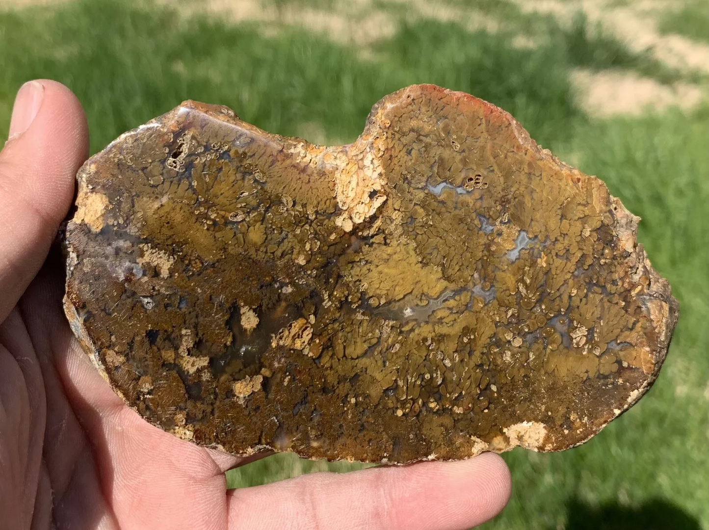 Polished Brown Plume Agate from Indonesia, Slab, Slice