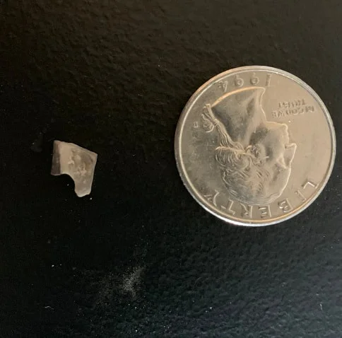 Triceratops Tooth From The Hell Creek Formation Of South Dakota