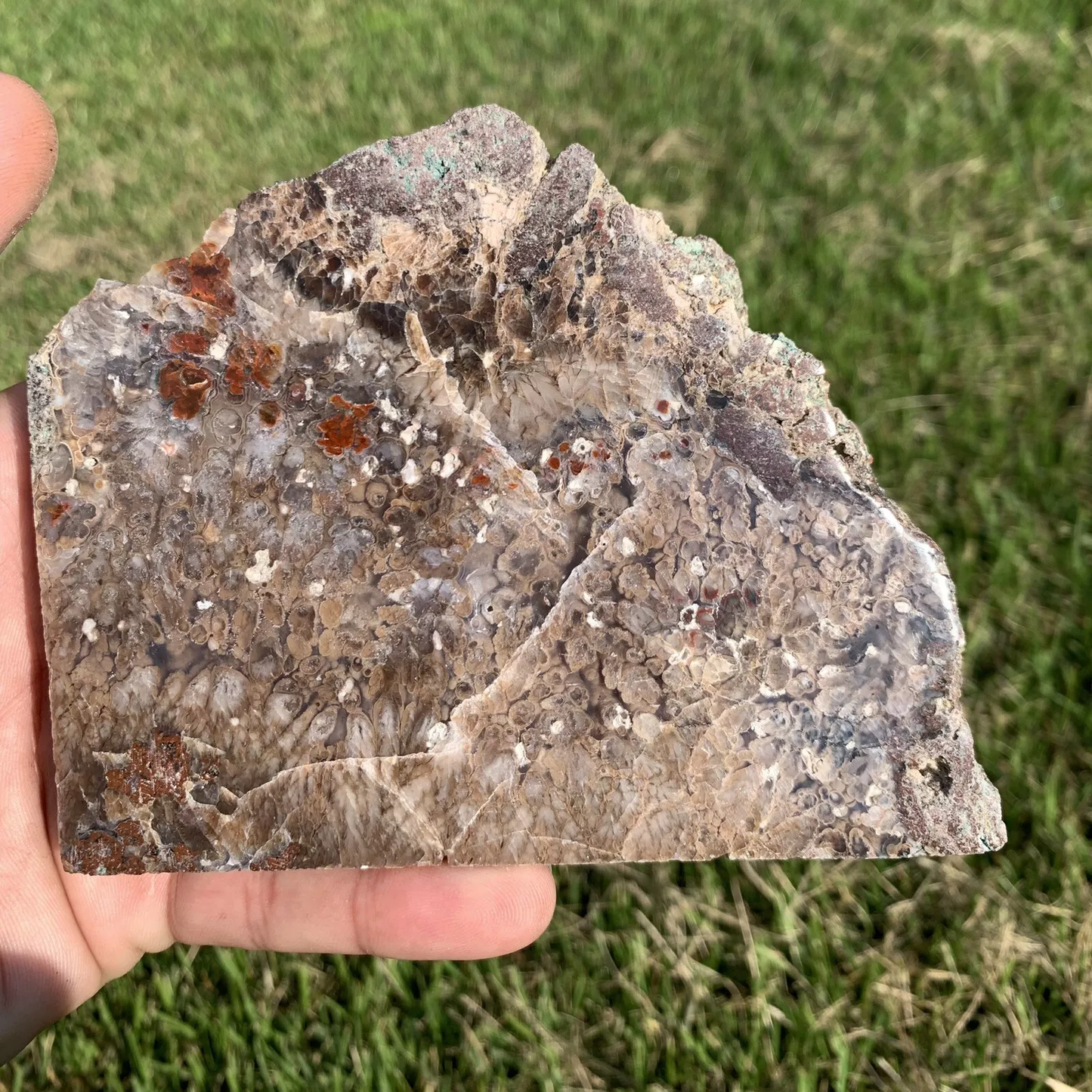 Polished Plume Agate from Indonesia, Slab, Slice