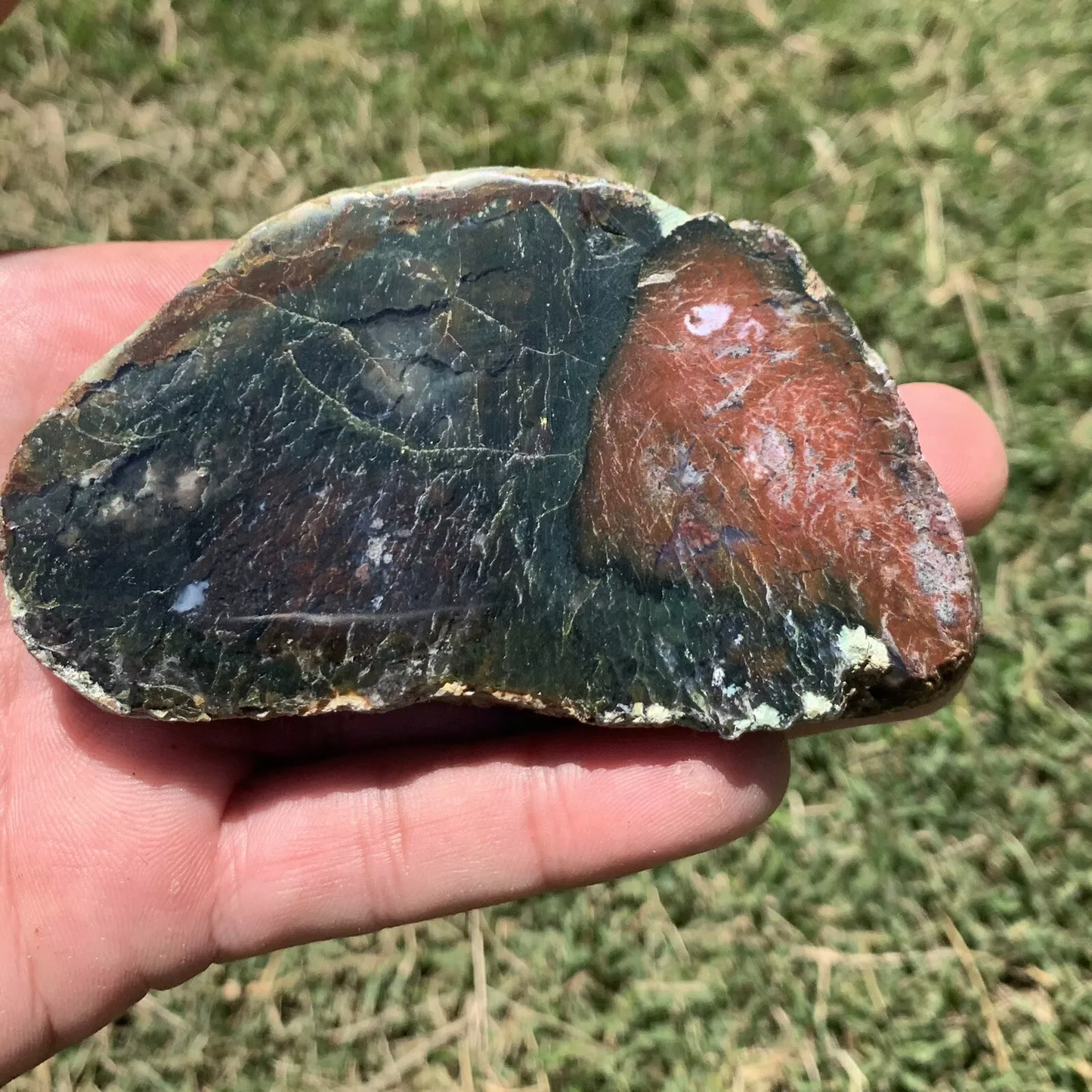 Polished Red and Blue Moss Agate from Indonesia, Slab, Slice