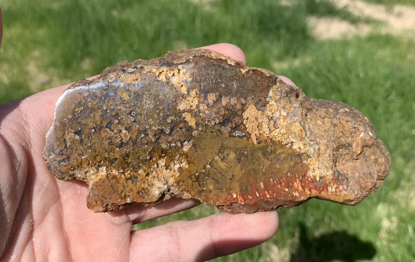 Polished Brown Plume Agate from Indonesia, Slab, Slice