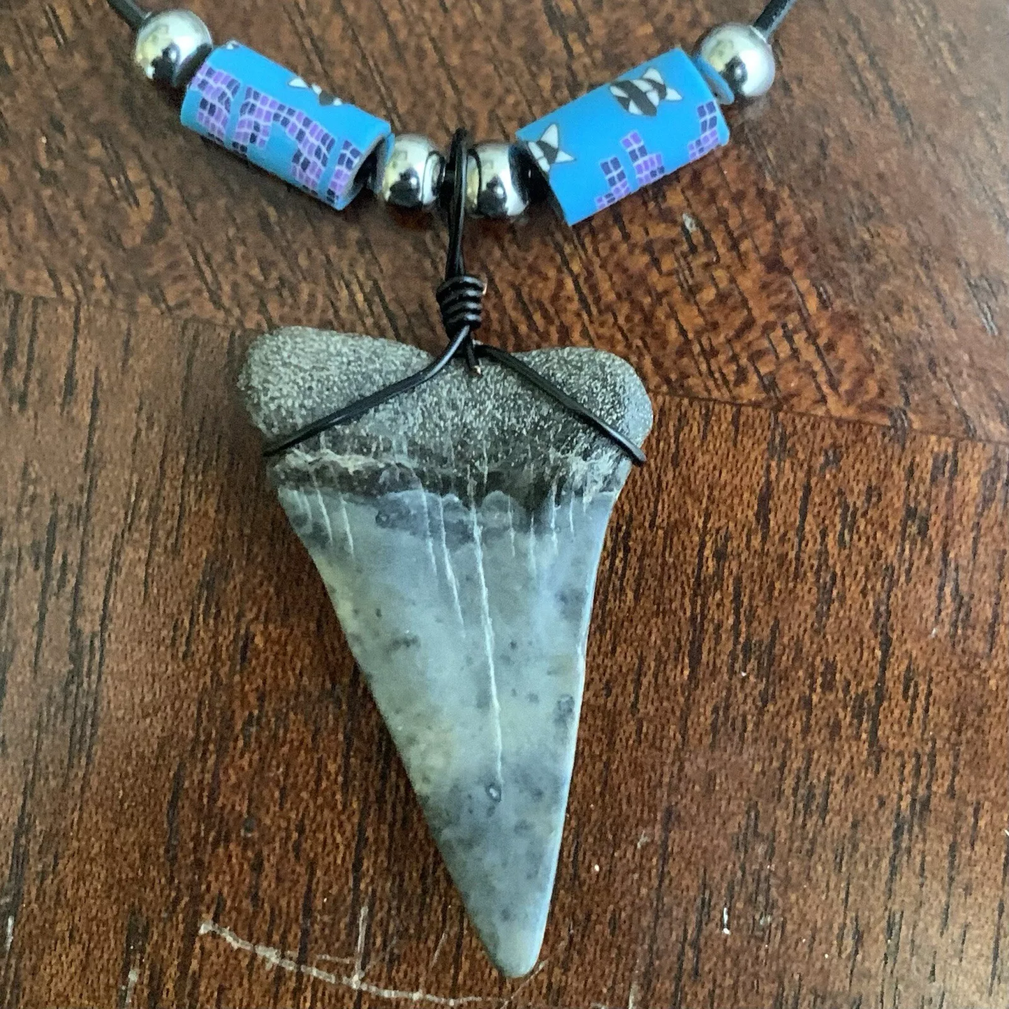 Real fossil Carcharodon hastalis shark tooth necklace on black cord, shark tooth pendant