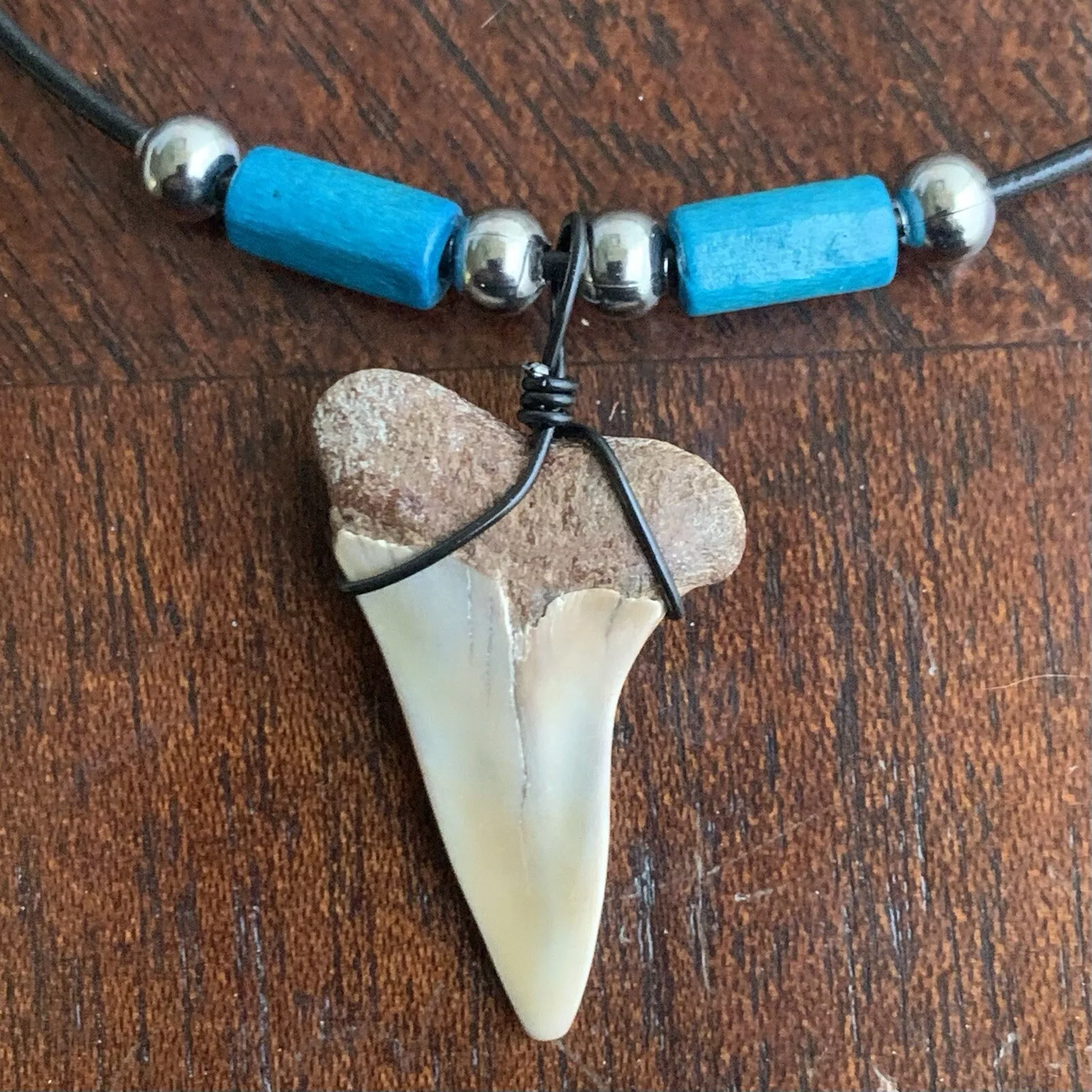 Real fossil Carcharodon hastalis shark tooth necklace on black cord, shark tooth pendant