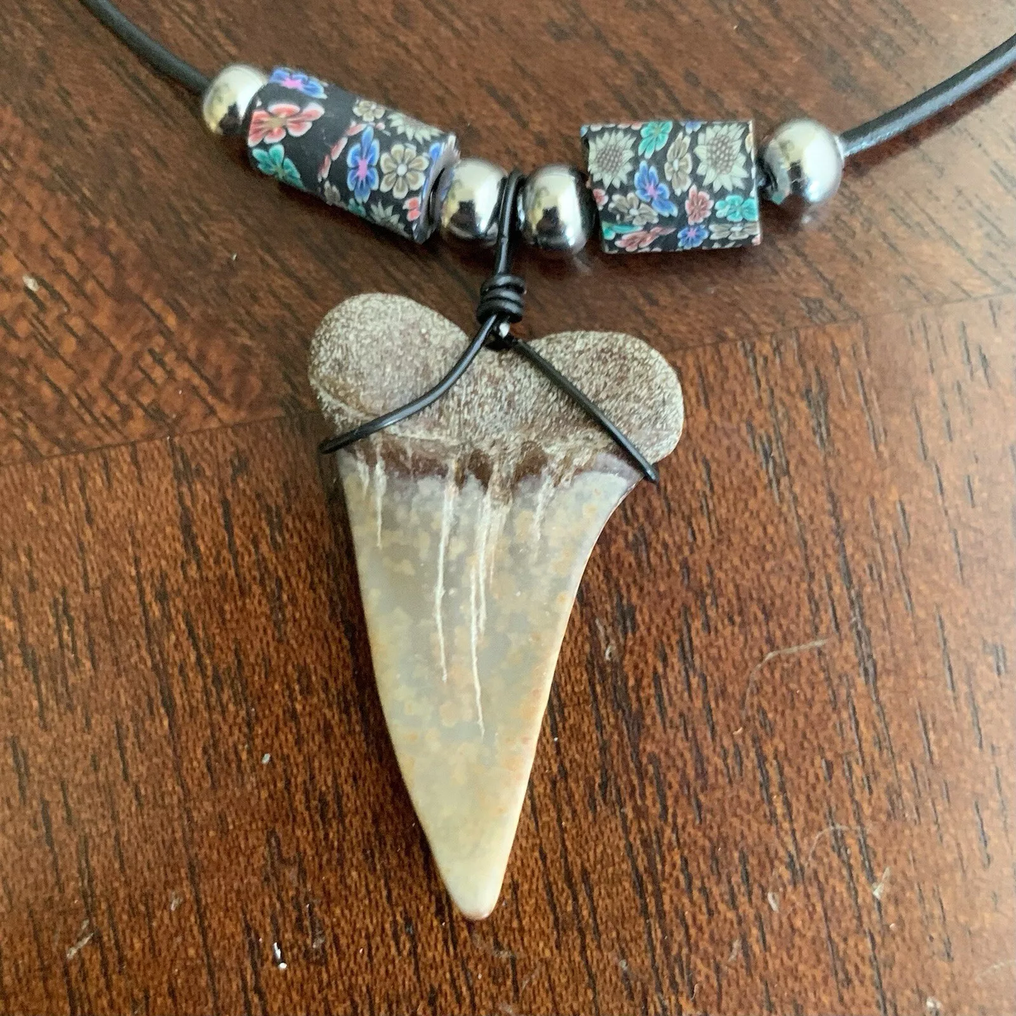 Real fossil Carcharodon hastalis shark tooth necklace on black cord, shark tooth pendant