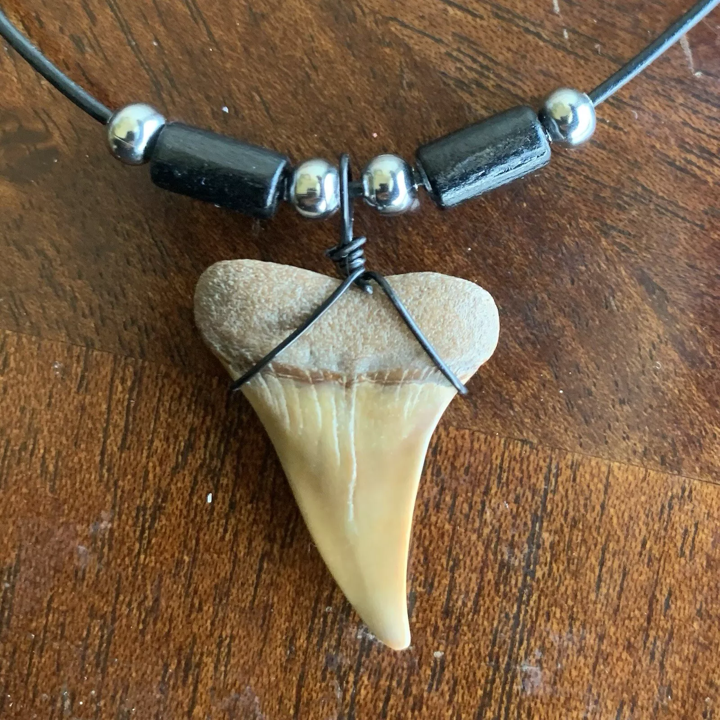 Real fossil Carcharodon hastalis shark tooth necklace on black cord, shark tooth pendant