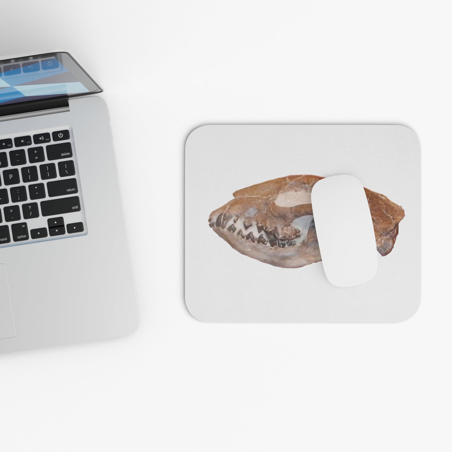 Fossil Skull Themed Mouse Pad -Dog - Hesperocyon gregarius