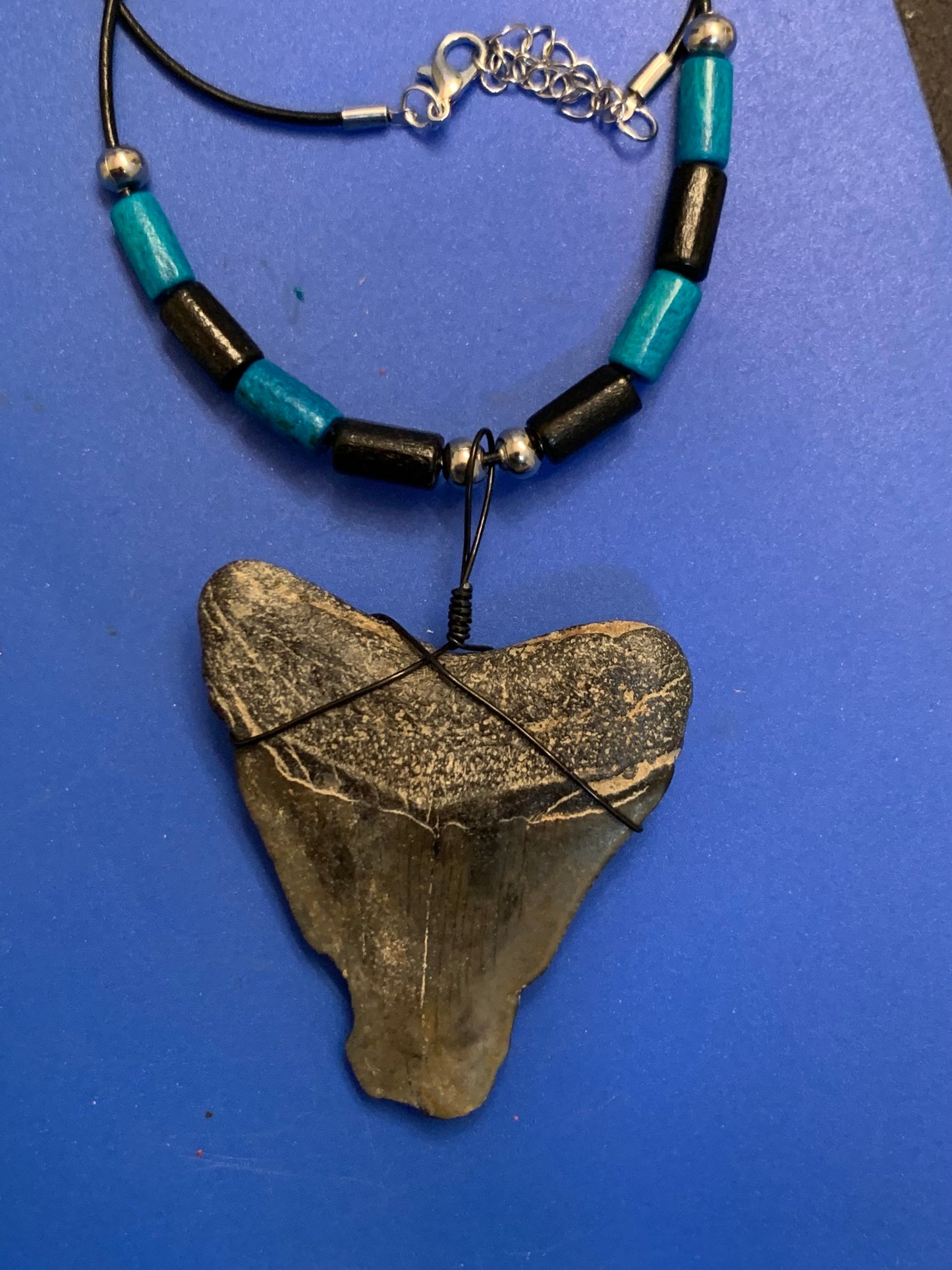 Real fossil megalodon shark tooth necklace on black cord, shark tooth pendant