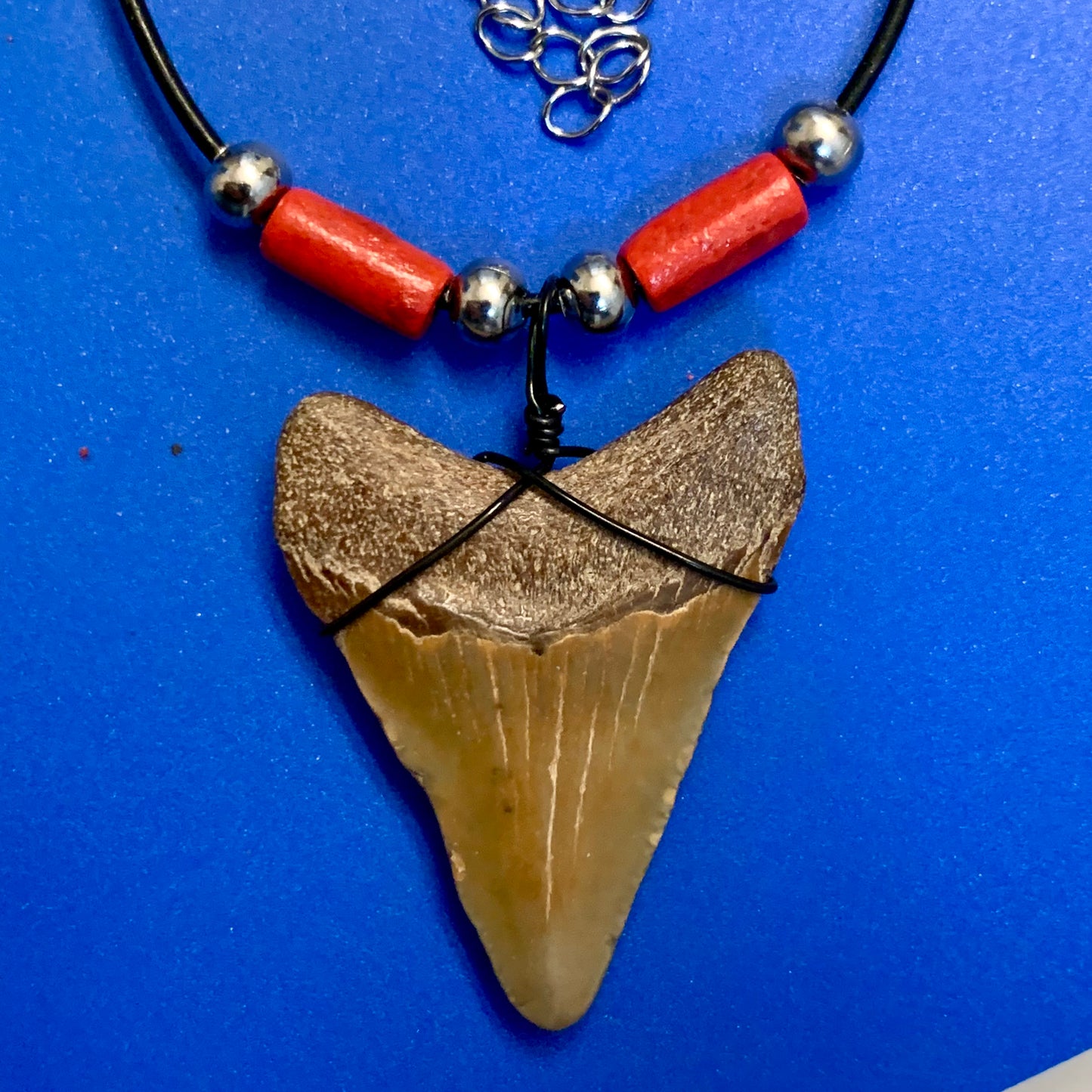 Real fossil megalodon shark tooth necklace on black cord, shark tooth pendant