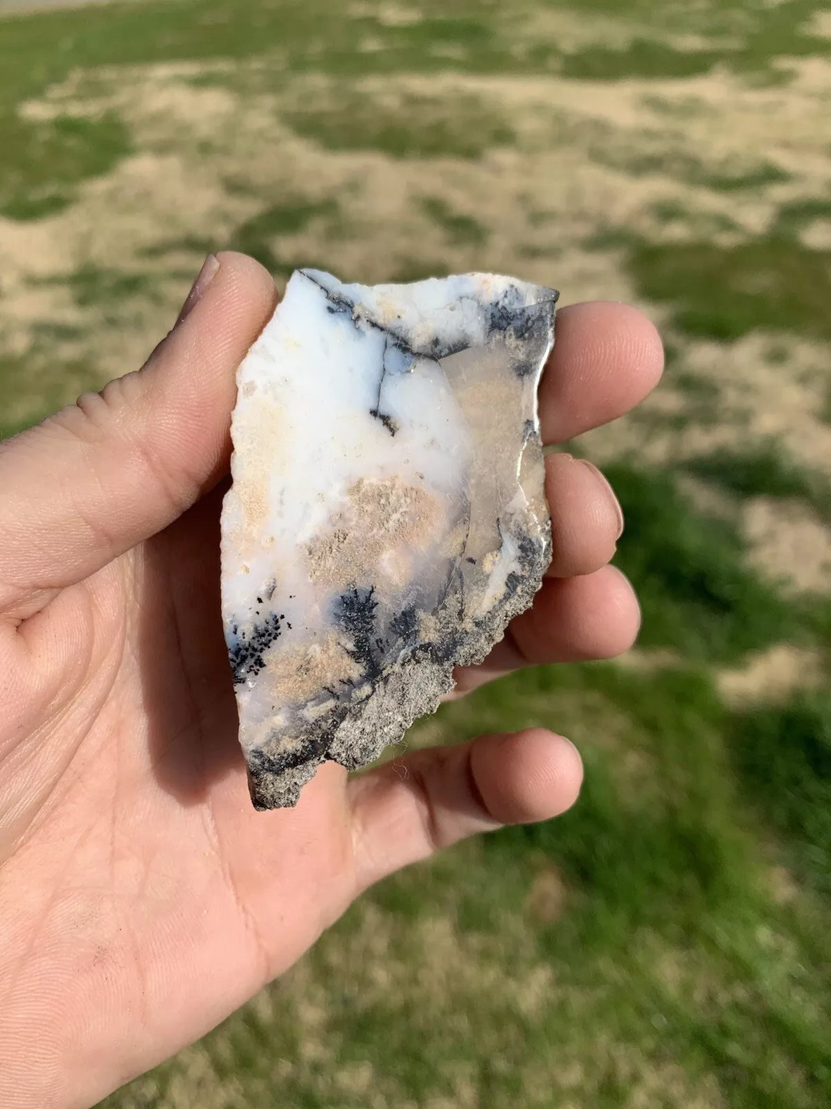 Polished Dendrite Agate from Indonesia, Slab, Slice