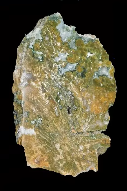 Polished Timor Agate from Indonesia, Slab, Slice