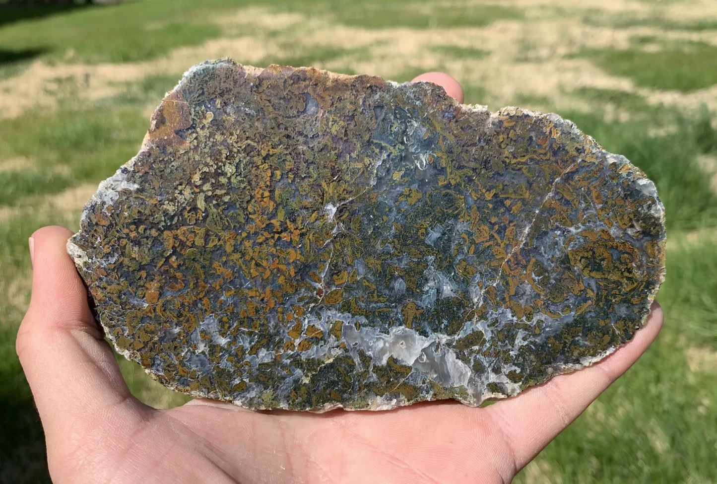 Polished Yellow Green Moss Agate from Indonesia, Slab, Slice