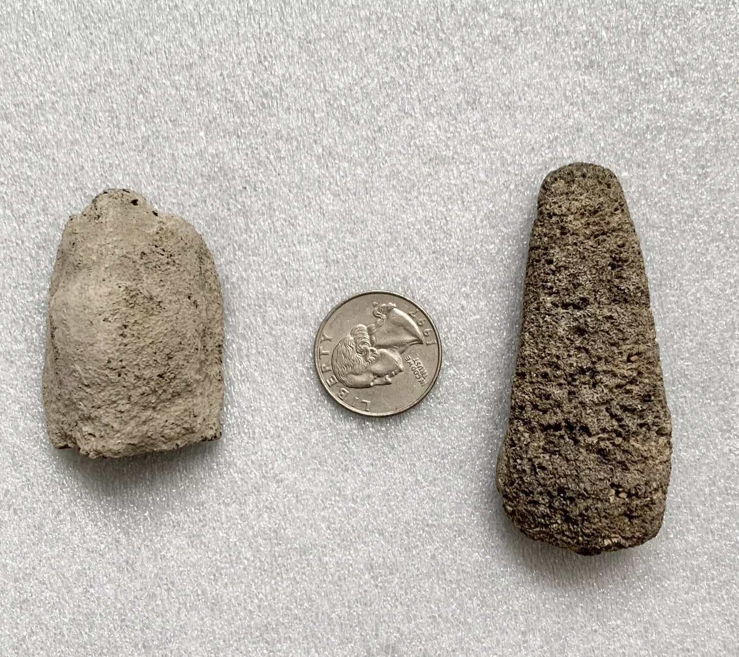 Fossil Sun Fish Bones Mola or Ranzania