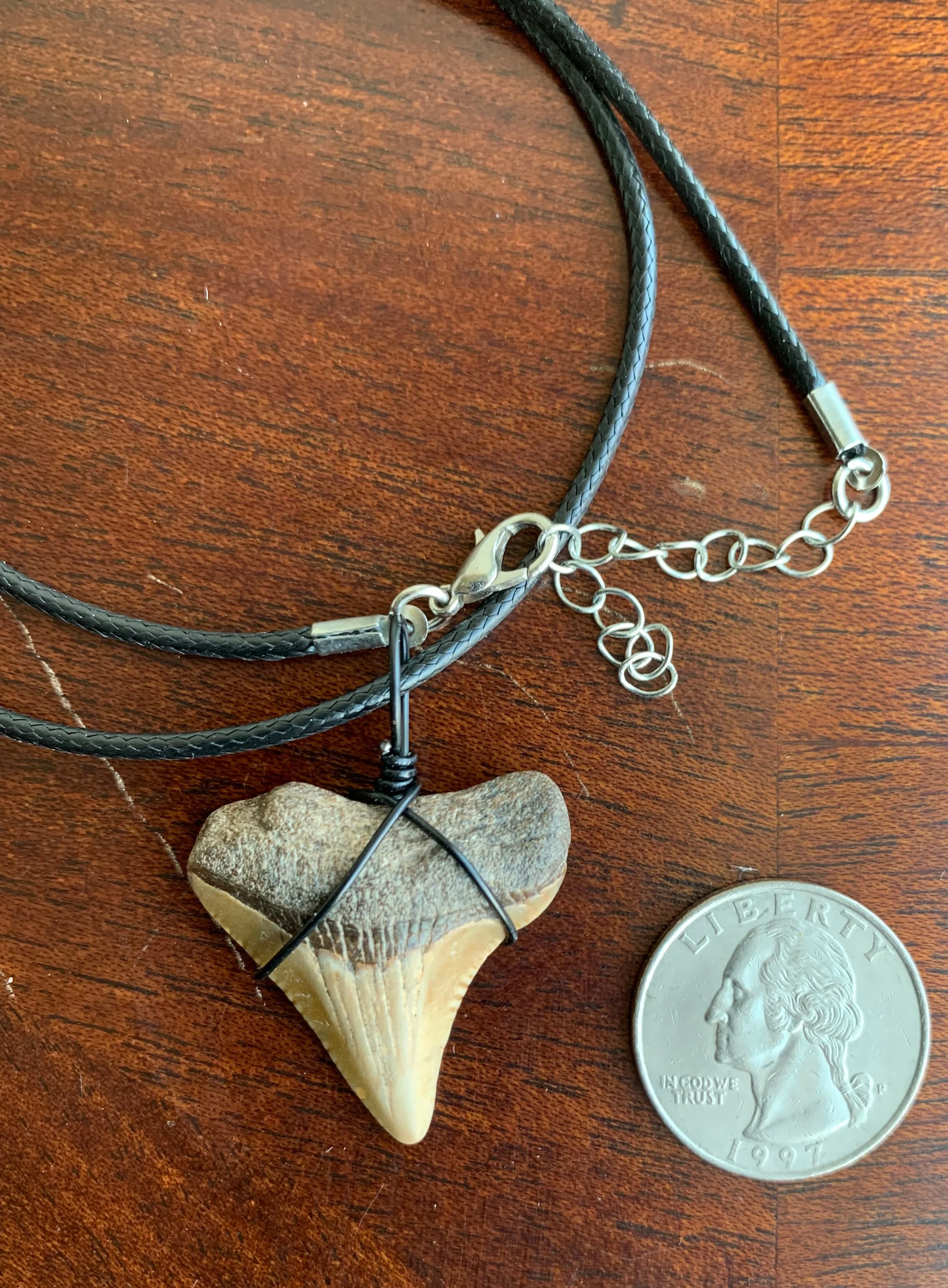 Megalodon shark tooth necklace