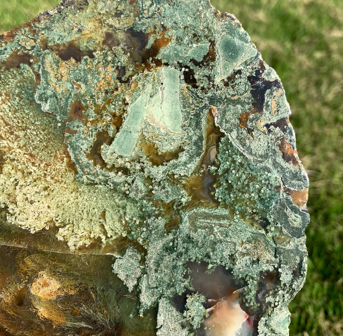 Polished Moss Agate slab from Indonesia